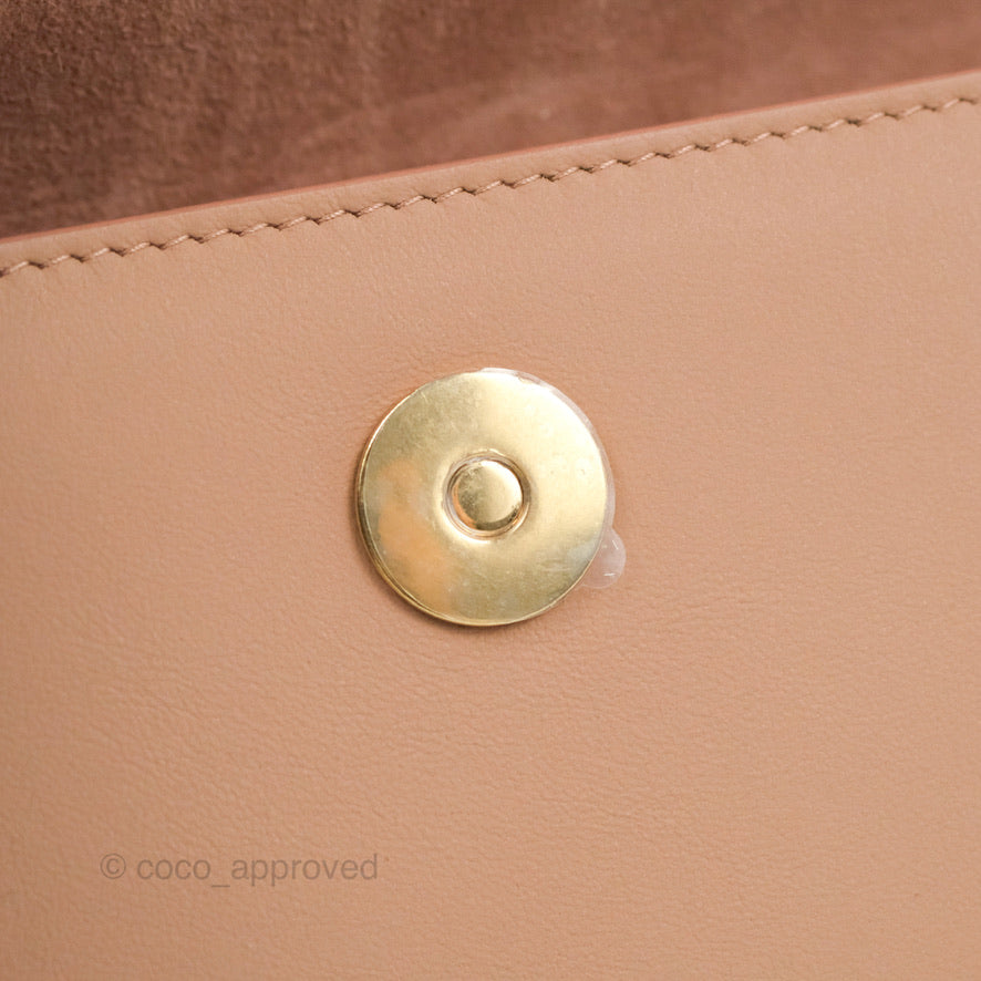 Christian Dior Saddle Belt Pouch Dusty Pink Matte Calfskin Gold Hardware