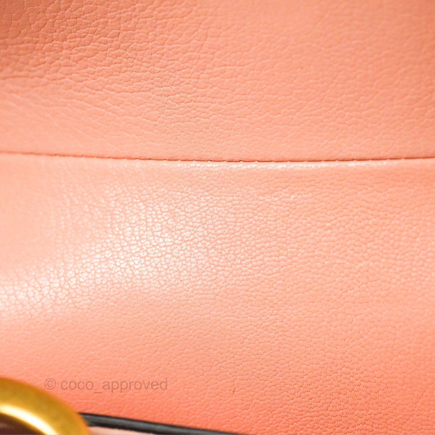 Christian Dior Mini Saddle Bag Pink Goatskin Gold Hardware