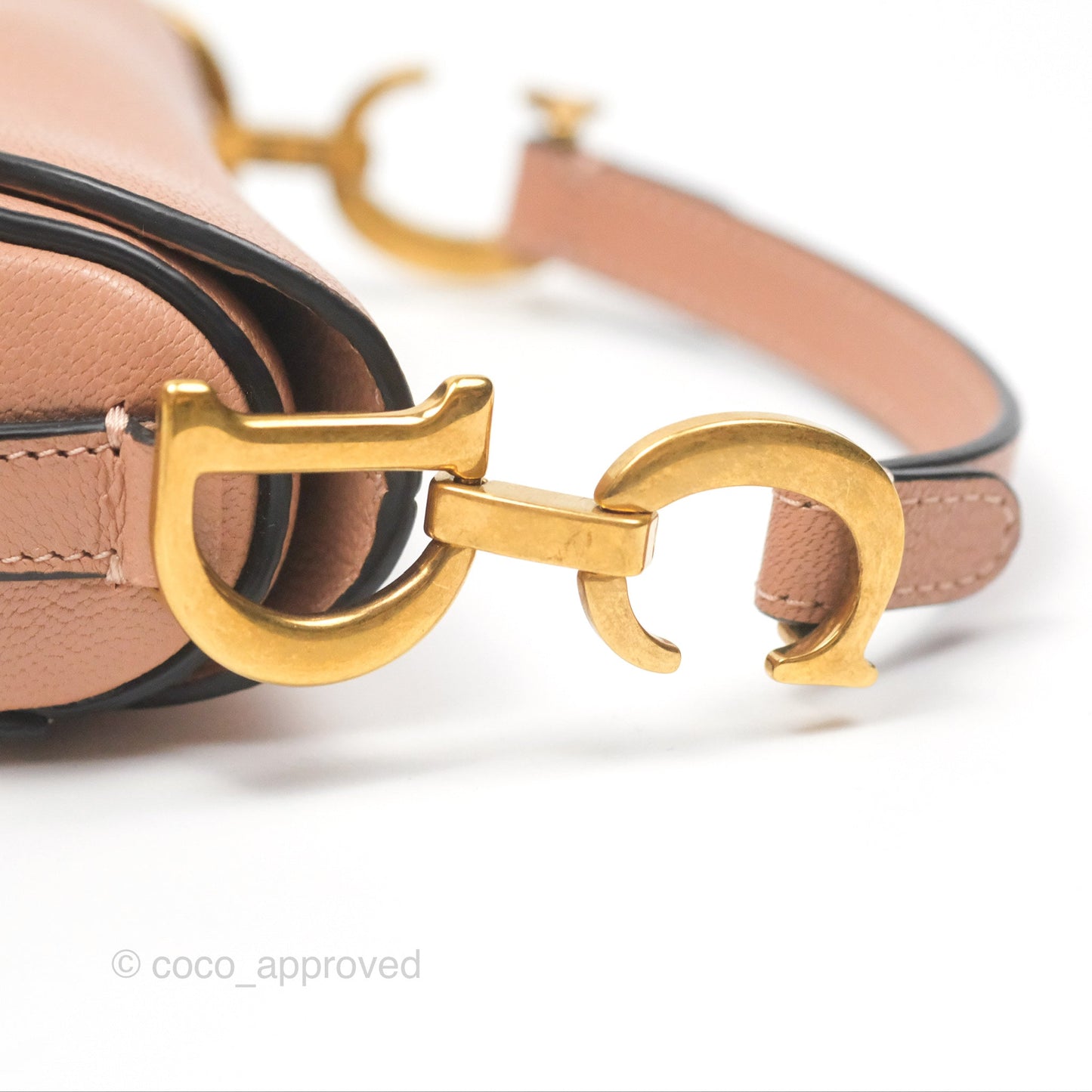 Christian Dior Micro Saddle Bag Rose des Vents Goatskin Gold Hardware