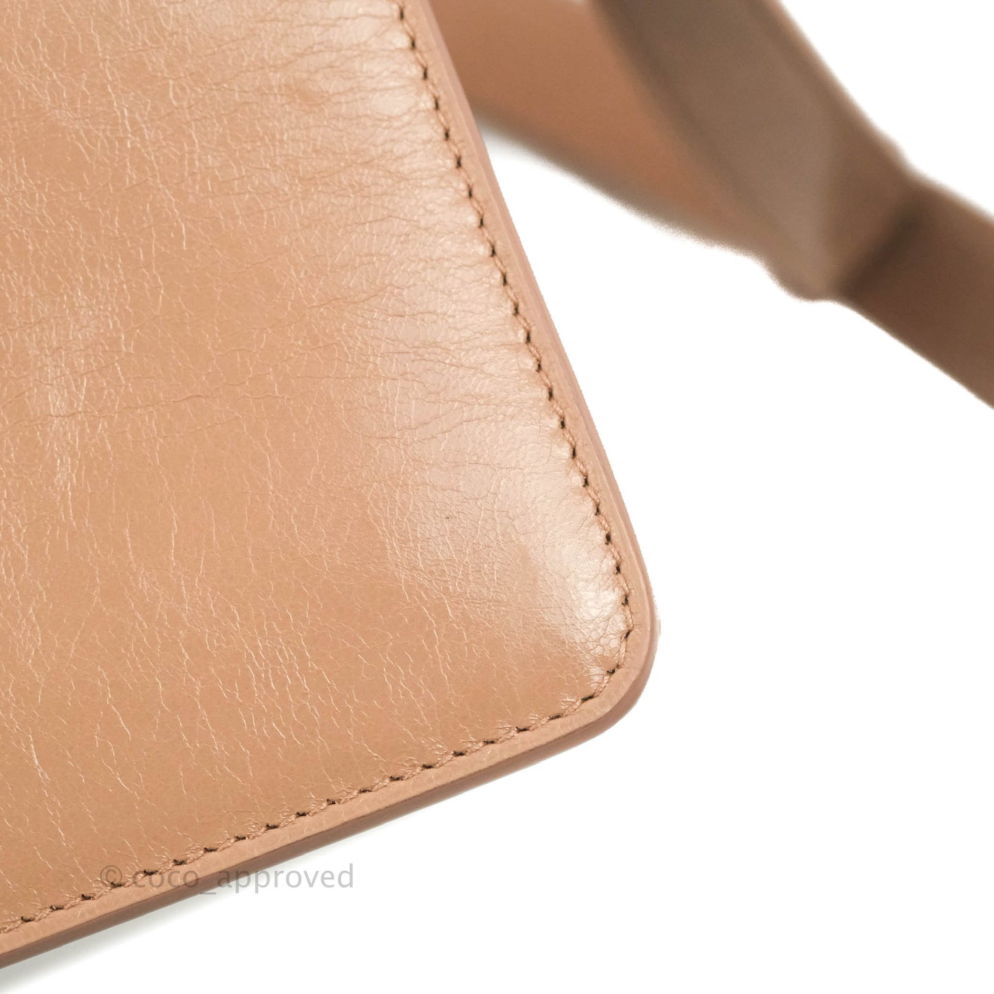 Dior 30 Montaigne Bag Rose Des Vents Crinkled Calfskin Gold Hardware