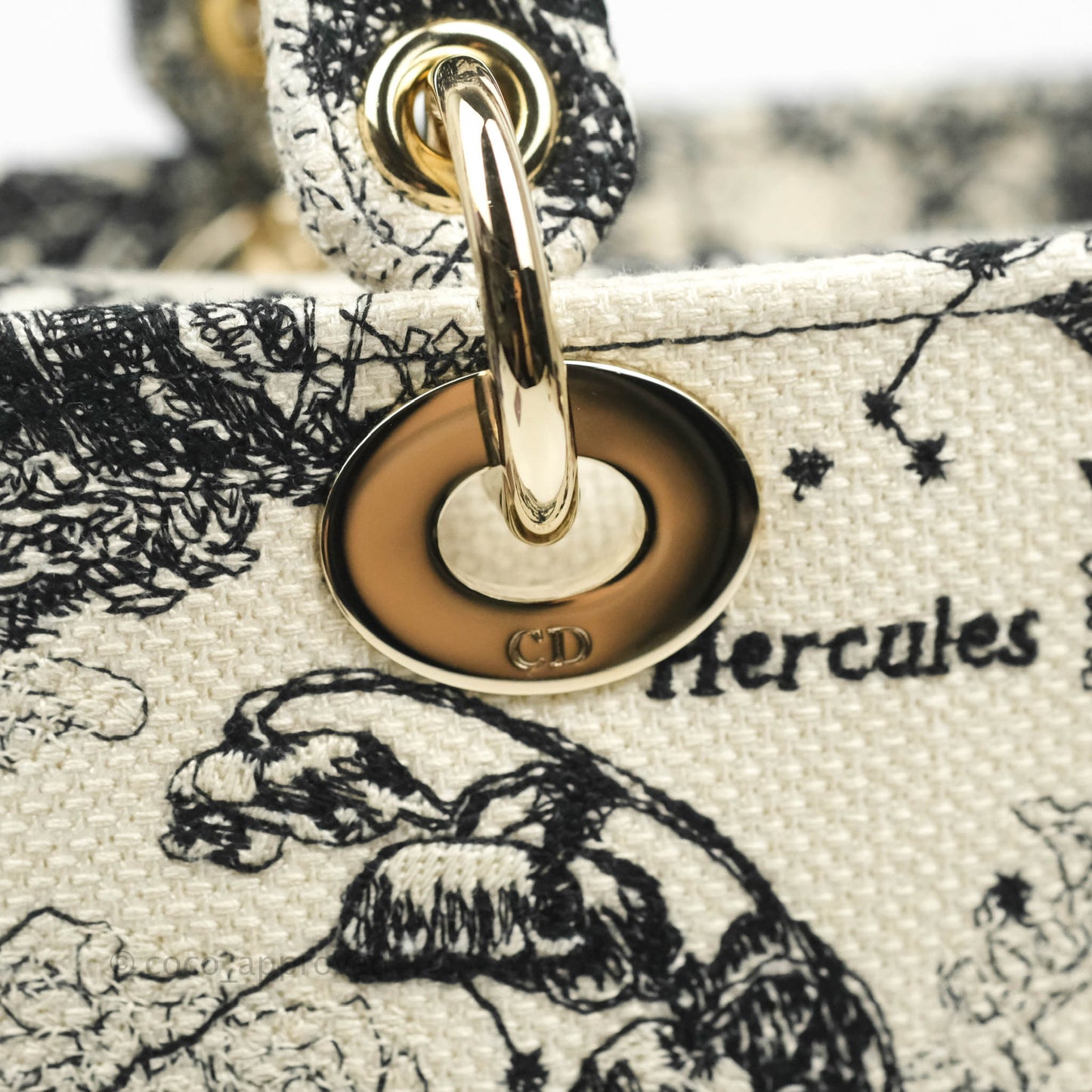 Christian Dior Medium Lady D-Lite Toile de Jouy Zodiac Embroidery Gold Hardware