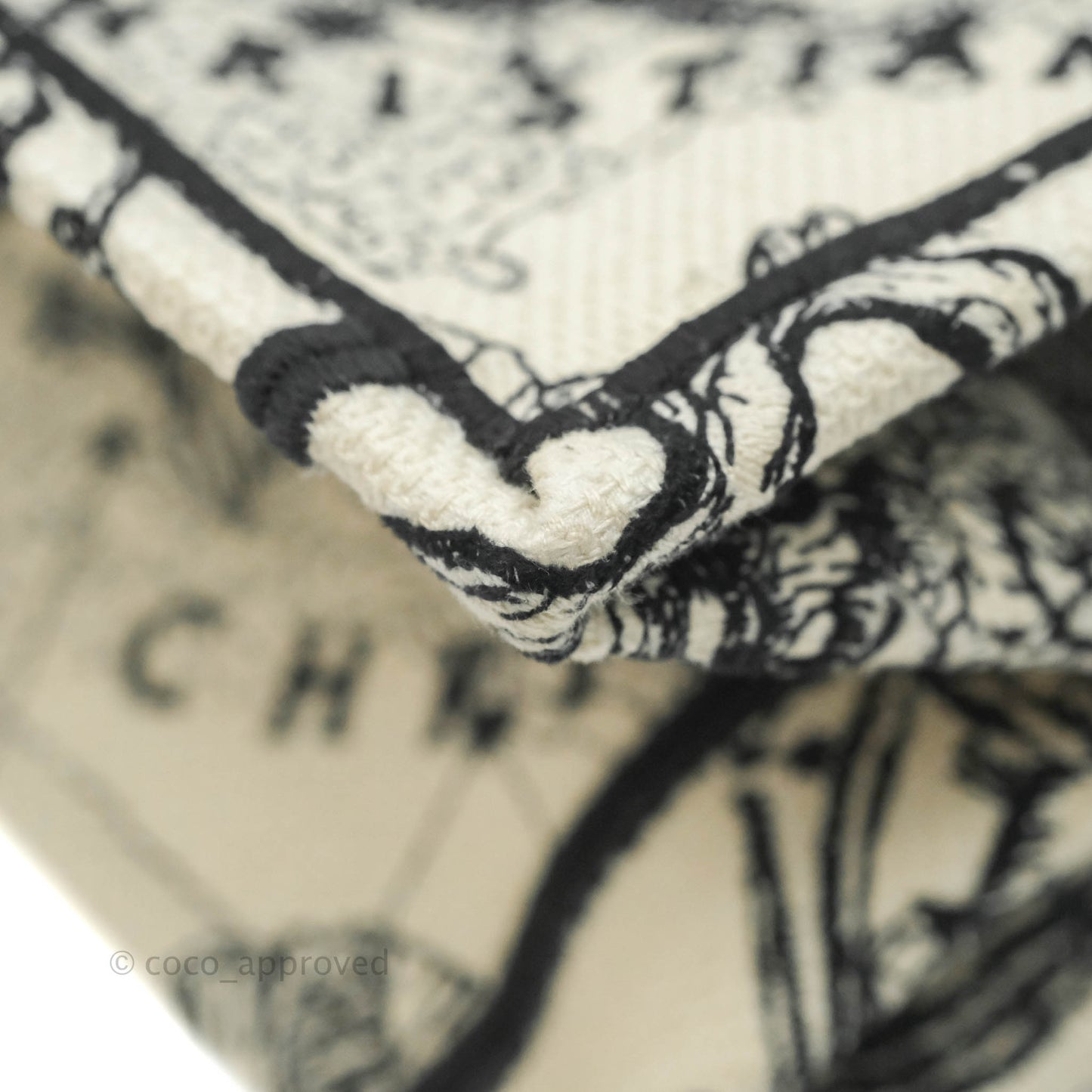 Christian Dior New Small Latte Dior Zodiac Embroidery Canvas Book Tote