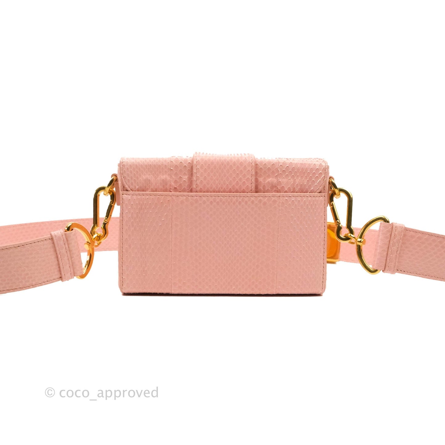 Christian Dior 30 Montaigne Box Bag Python Rose Des Vents