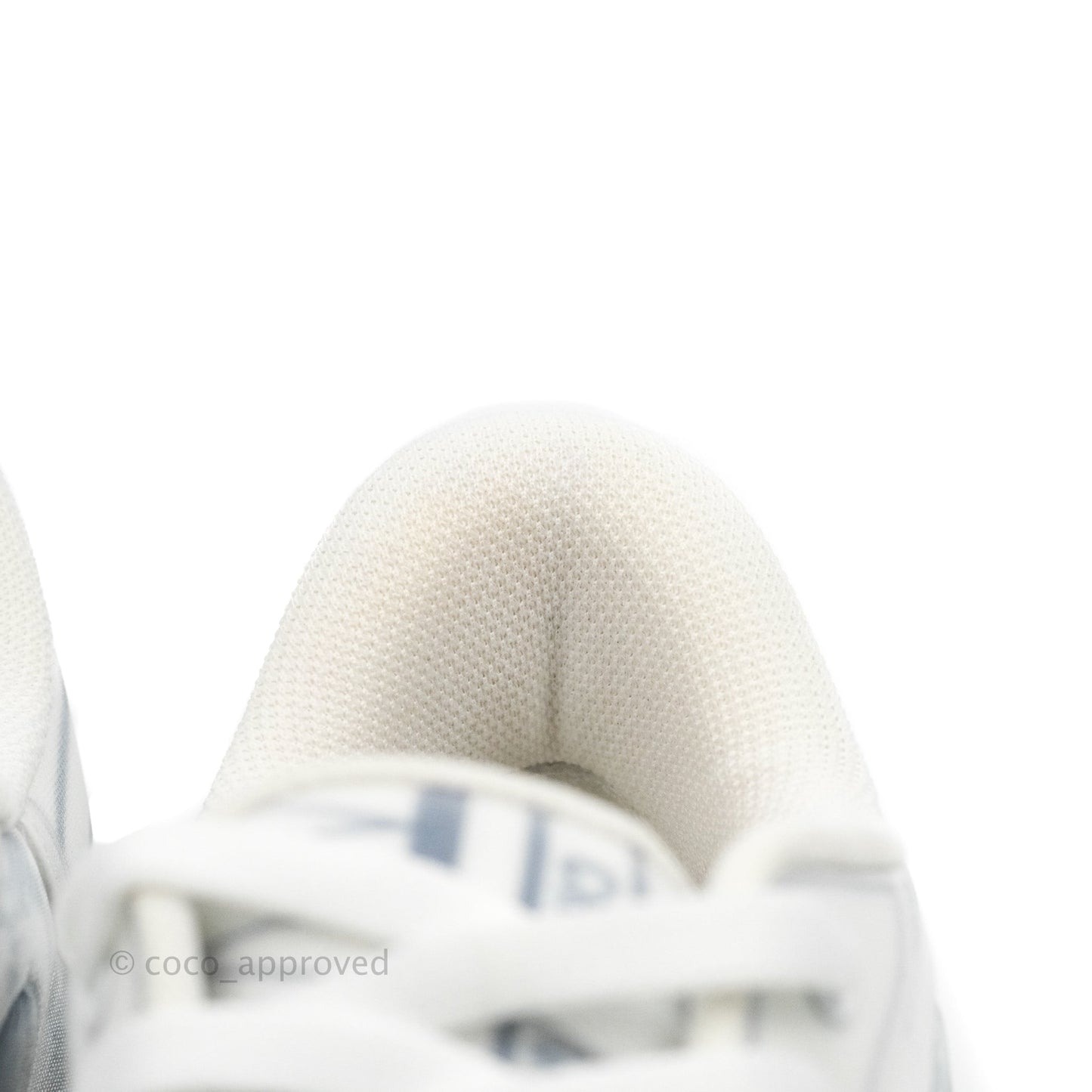 Christian Dior Dior Addict Sneaker Blue Toile de Jouy Technical Fabric