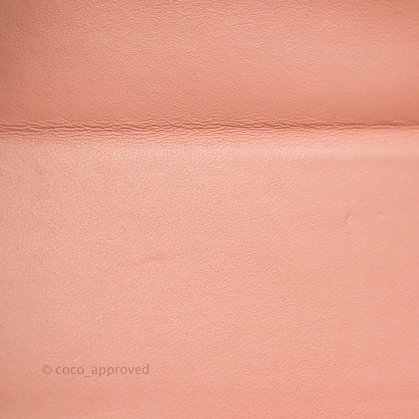 Christian Dior 30 Montaigne Box Bag Python Rose Des Vents