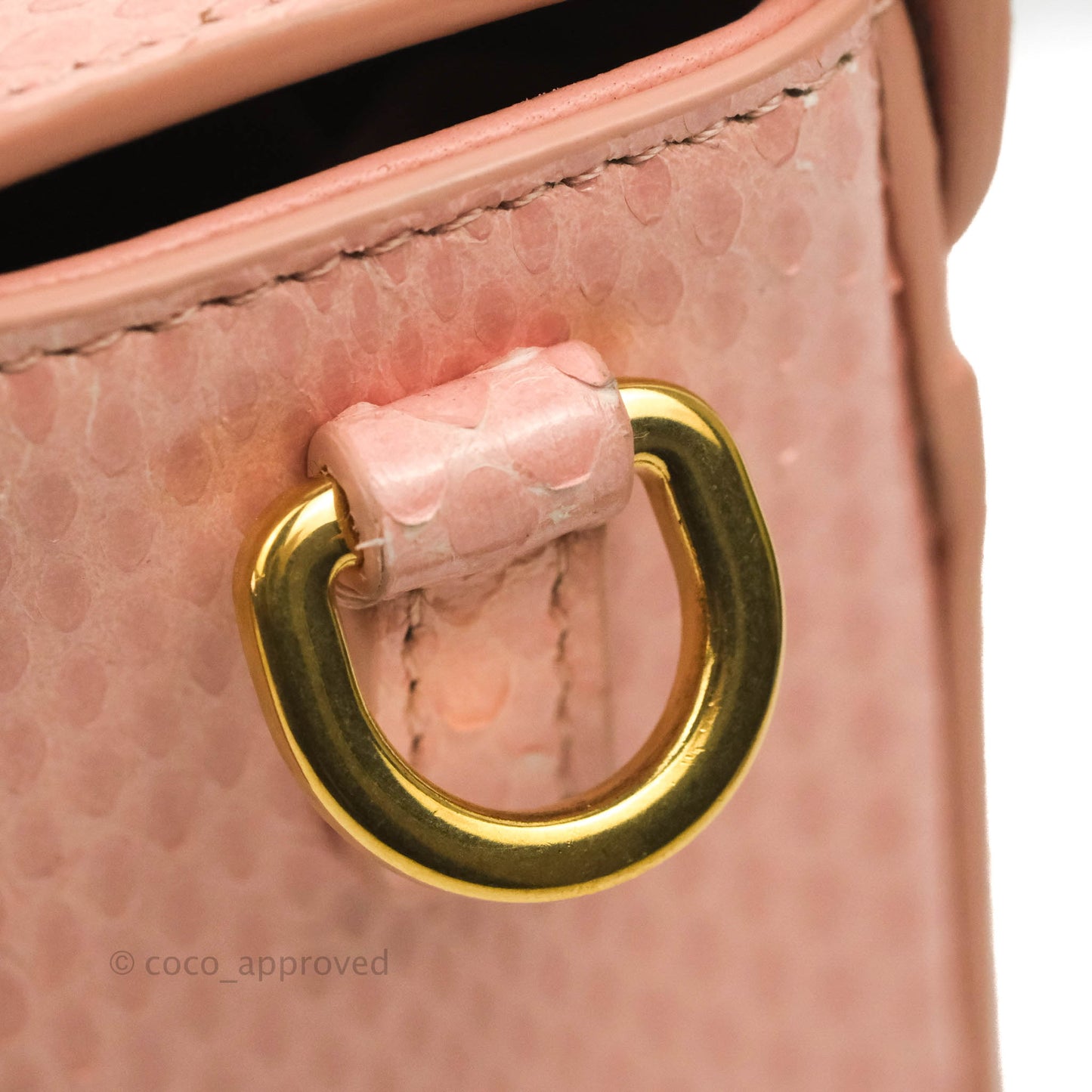 Christian Dior 30 Montaigne Box Bag Python Rose Des Vents