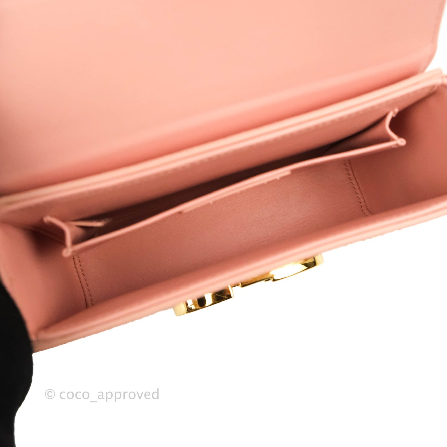 Christian Dior 30 Montaigne Box Bag Python Rose Des Vents