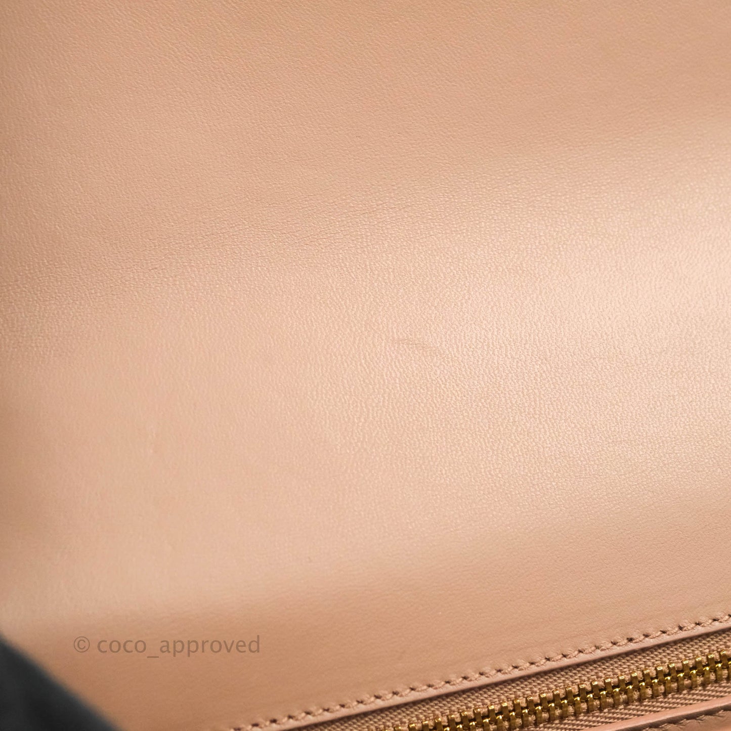 Dior 30 Montaigne Bag Rose Des Vents Crinkled Calfskin Gold Hardware