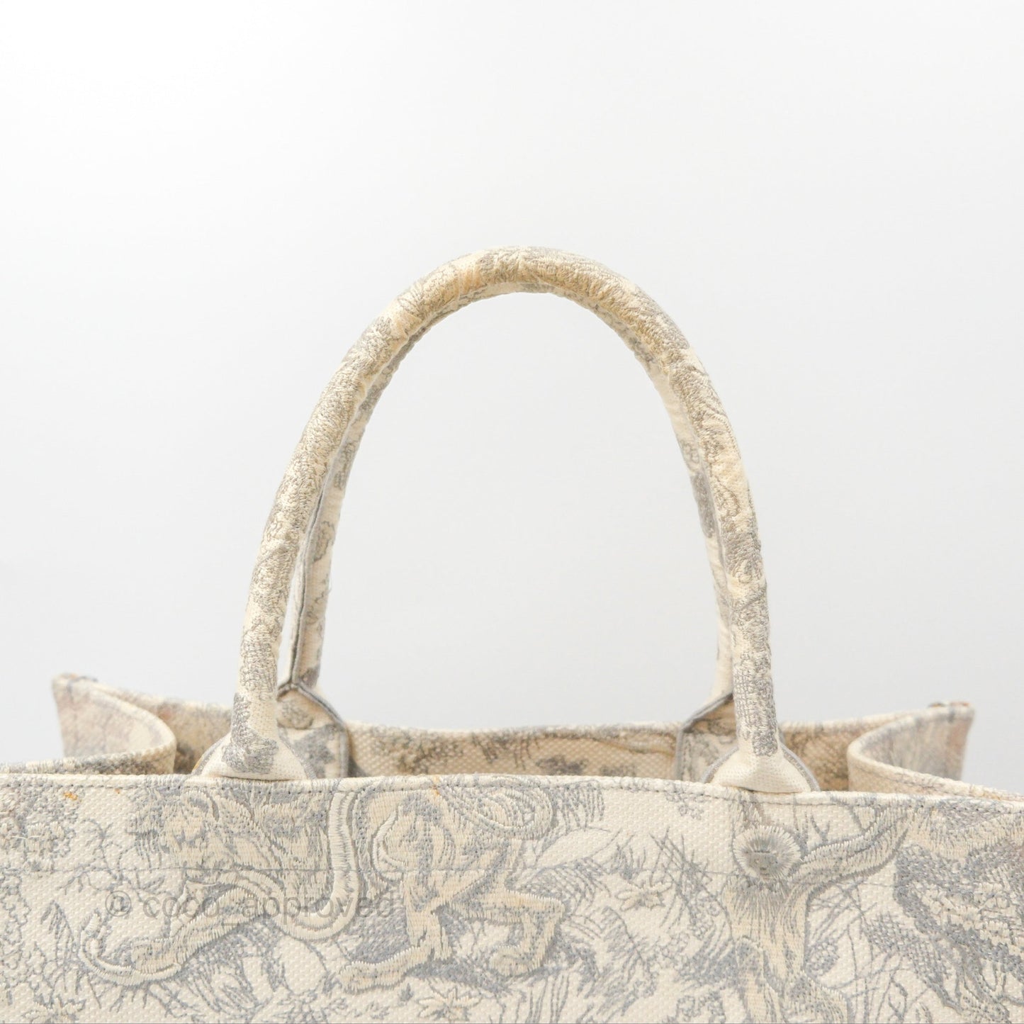 Dior Medium (Old Small) Embroidered Toile De Jouy Book Tote Light Grey Canvas