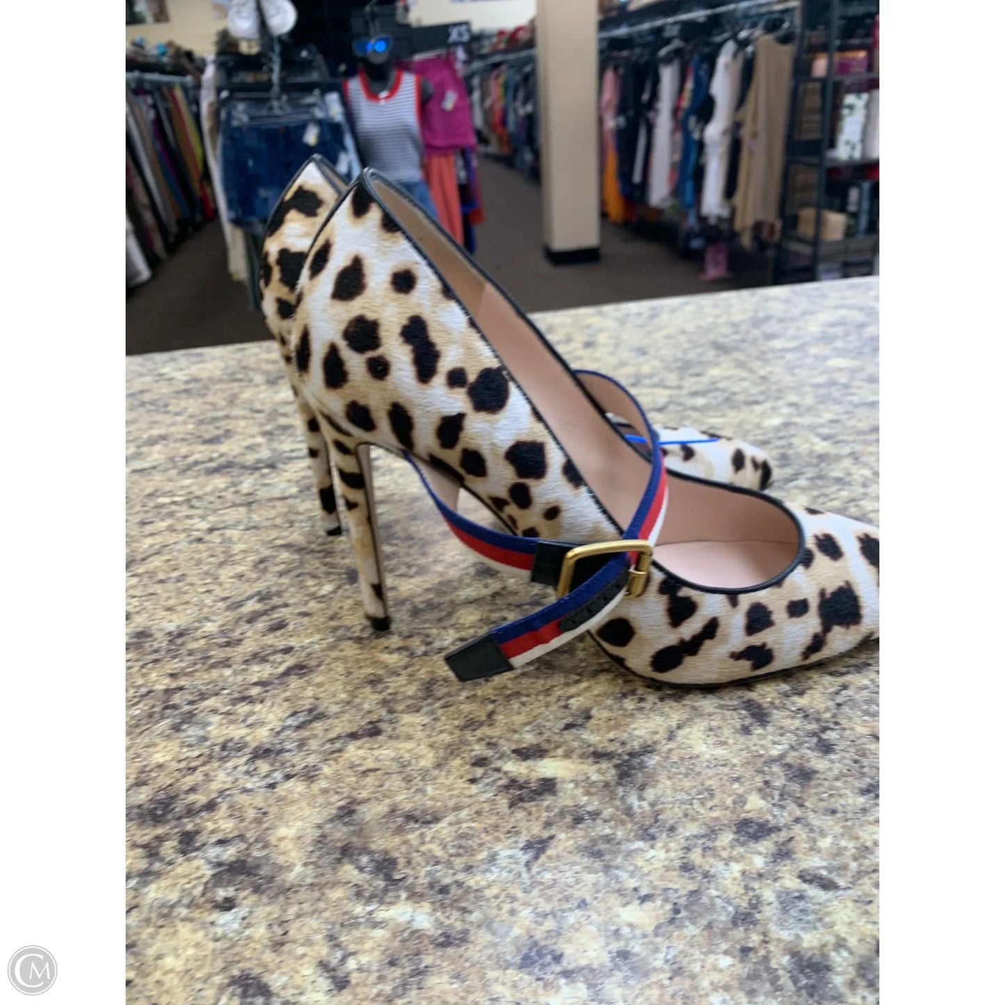 Shoes Heels Stiletto By Gucci In Animal Print, Size: 9