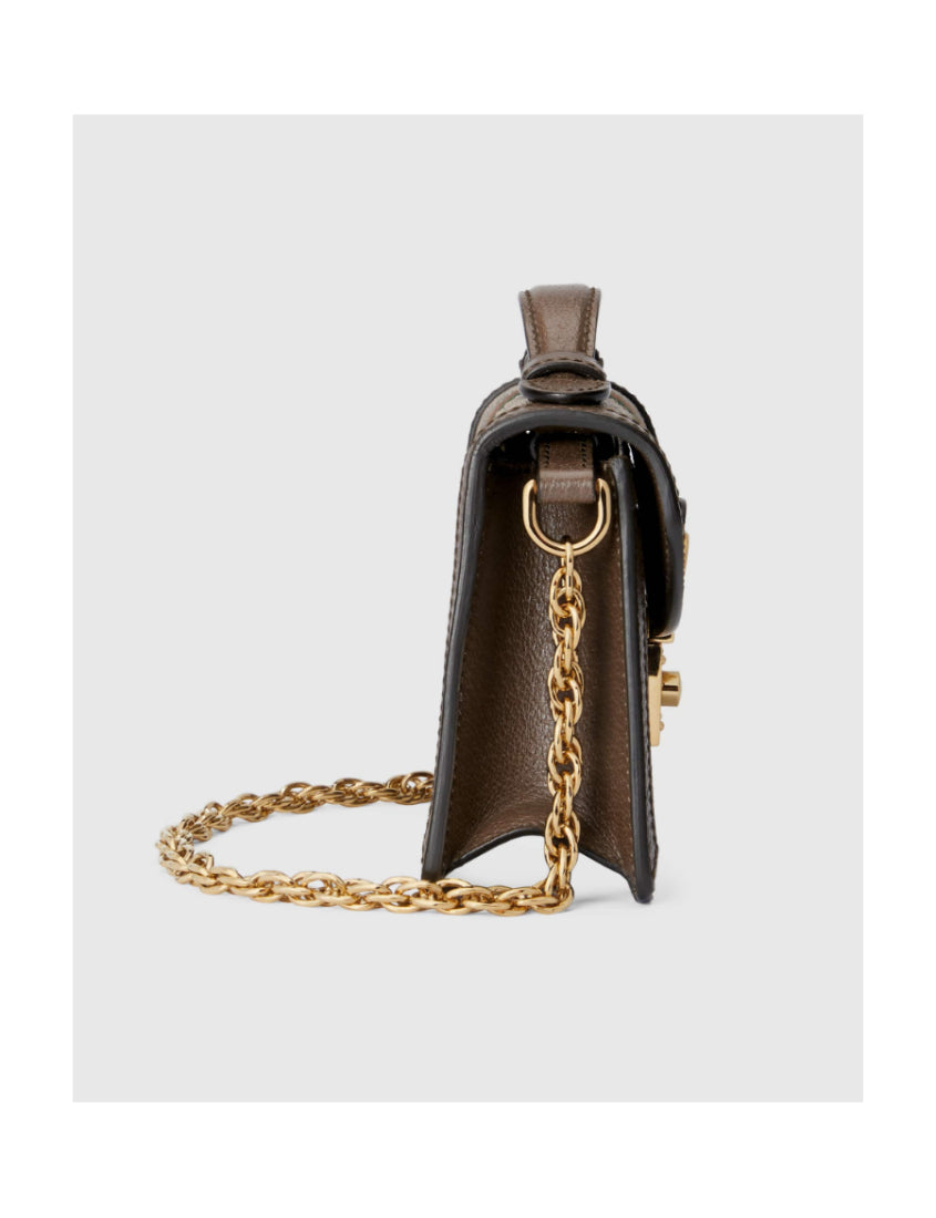 Gucci Ophidia Series GG Mini Shoulder Bag