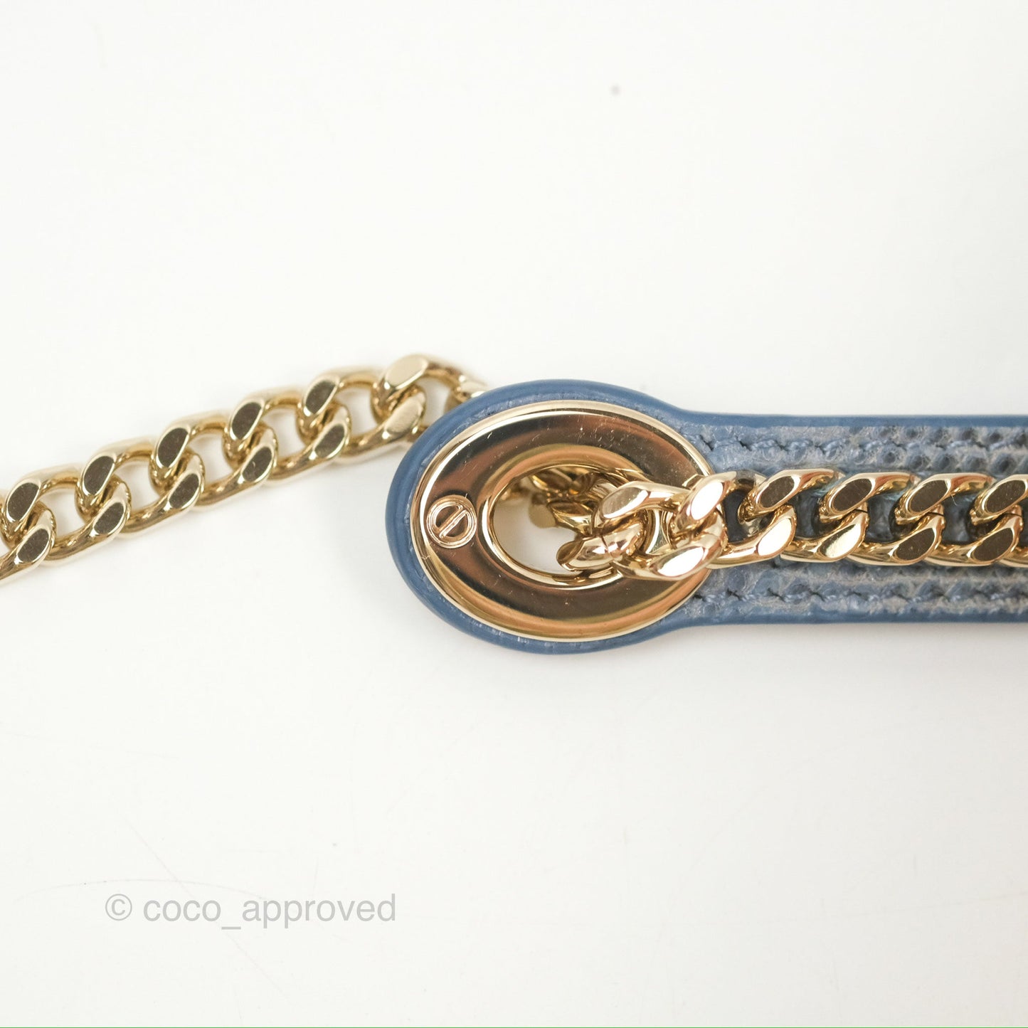Christian Dior Mini Lady Dior Ombre Blue Lizard Gold Hardware
