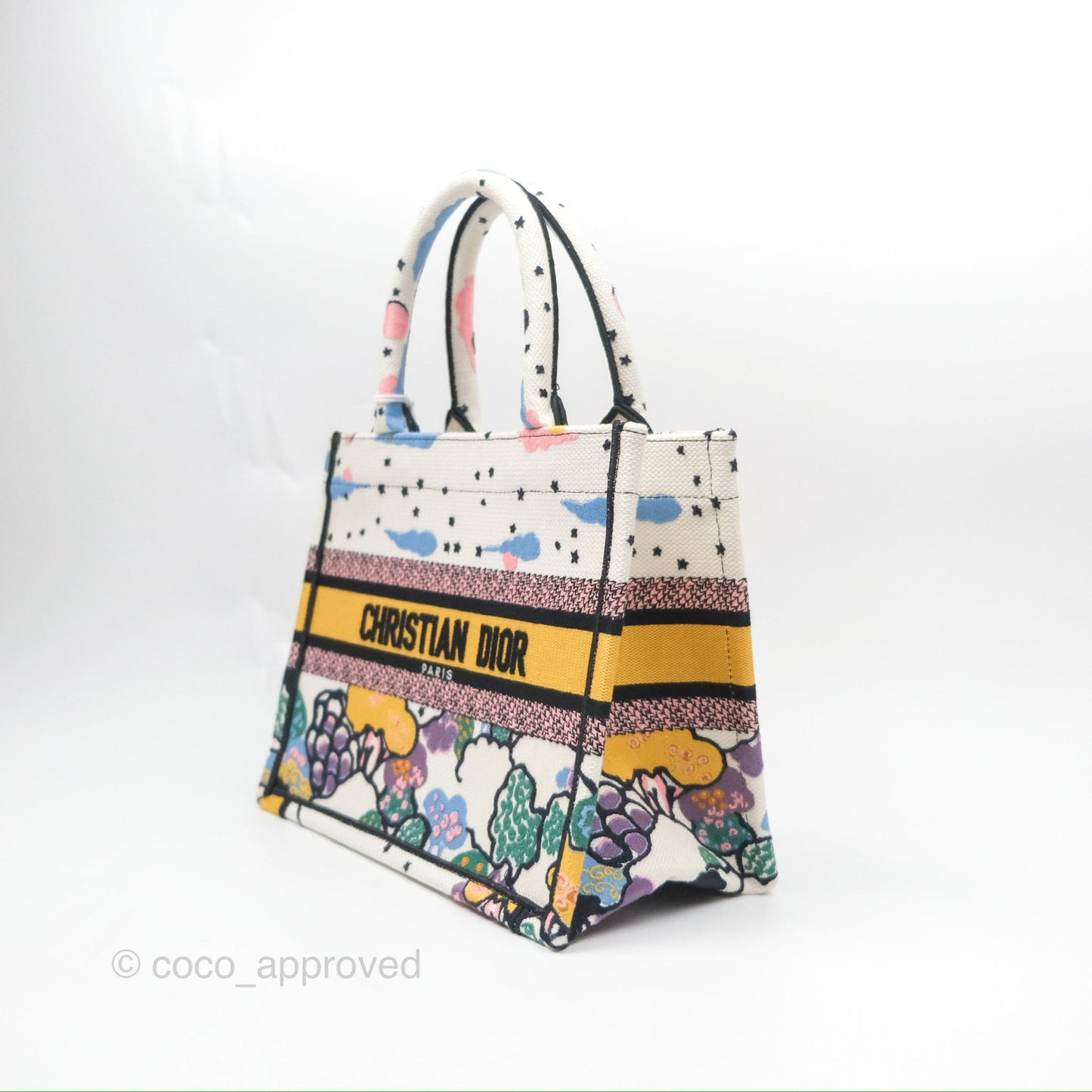 Christian Dior Small Book Tote Dior Latte Ciel de Rêve Embroidery