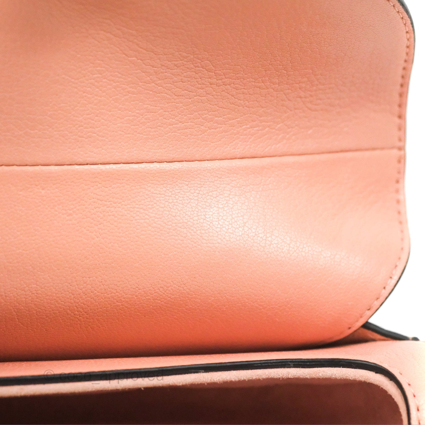 Christian Dior Mini Saddle Bag Pink Goatskin Gold Hardware
