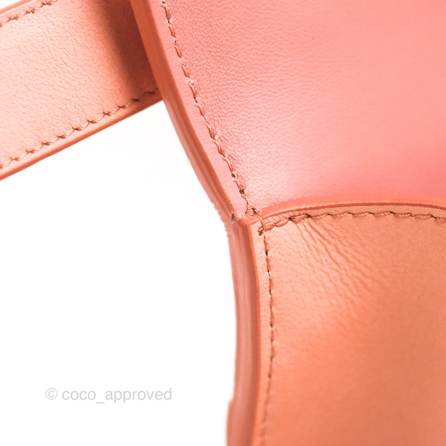 Dior 30 Montaigne Bag Smooth Calfskin Gradient Rose Multicolour