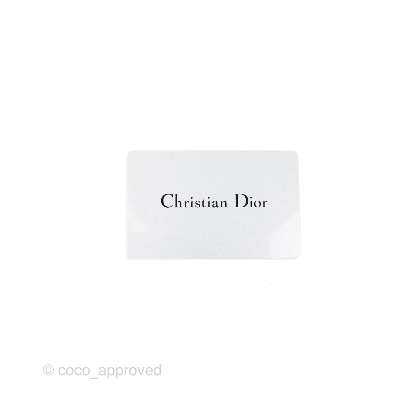 Christian Dior Cannage Mini Lady Dior Black Silver Hardware
