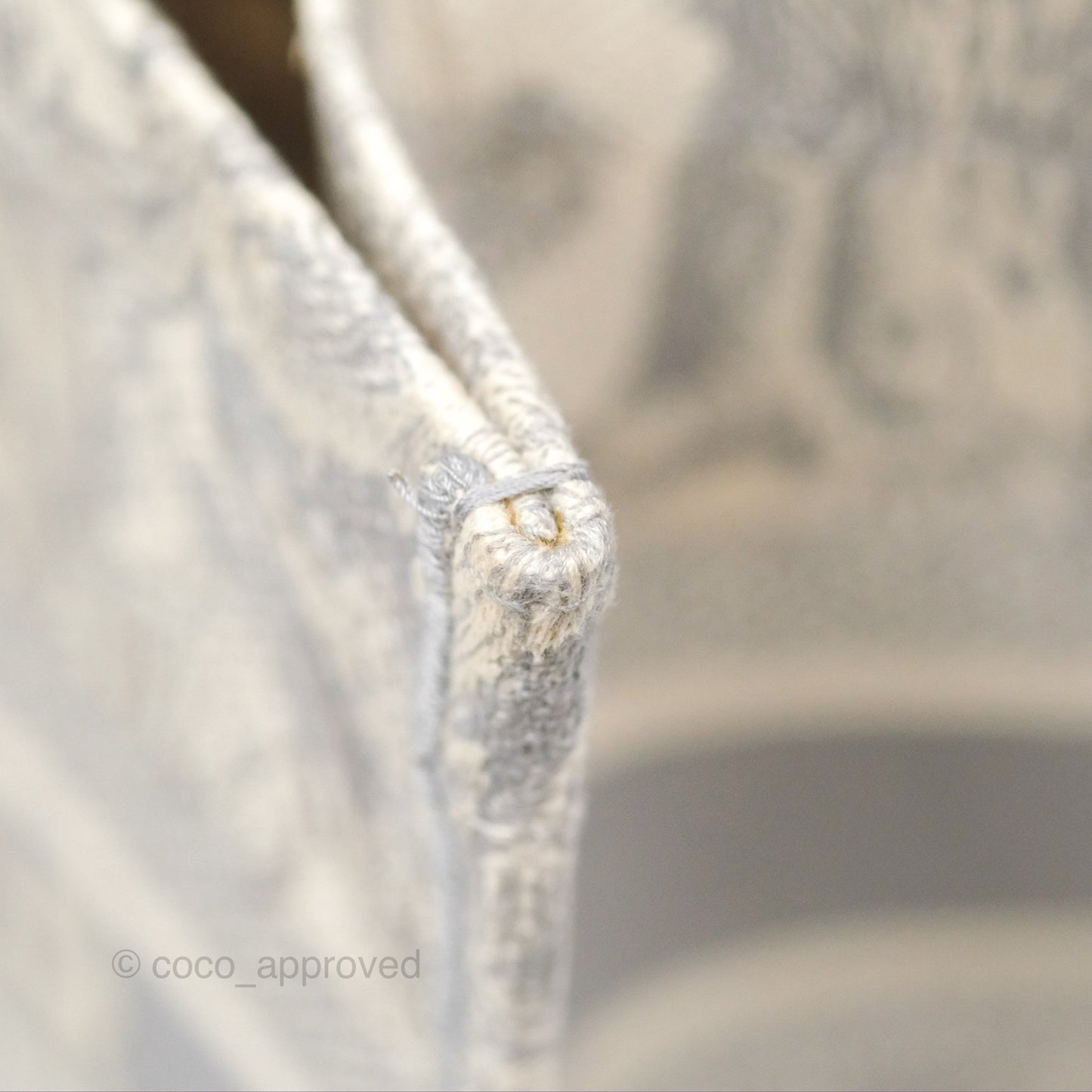 Christian Dior Medium (Old Small) Embroidered Toile De Jouy Light Grey Canvas Book Tote