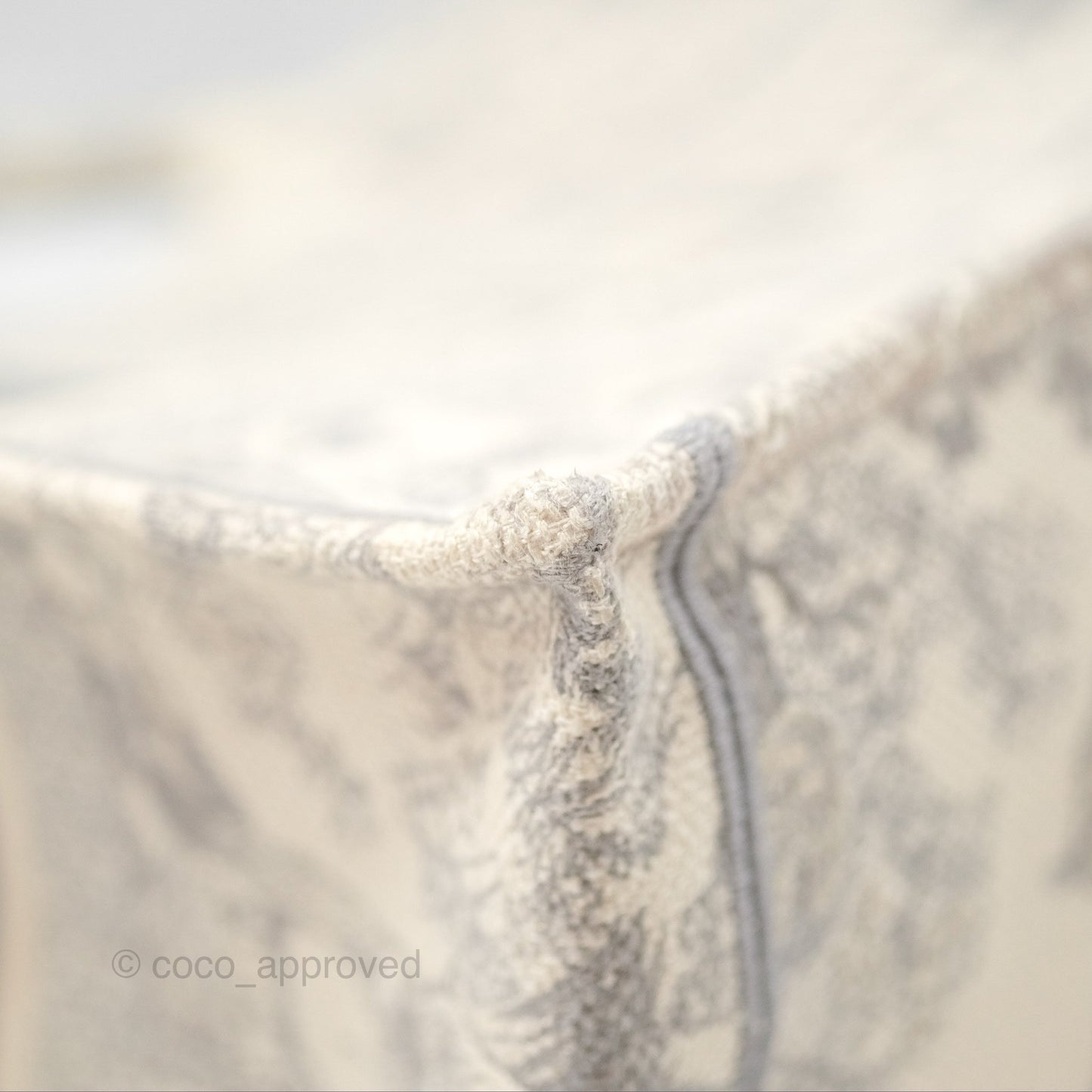 Dior Medium (Old Small) Embroidered Toile De Jouy Book Tote Light Grey Canvas