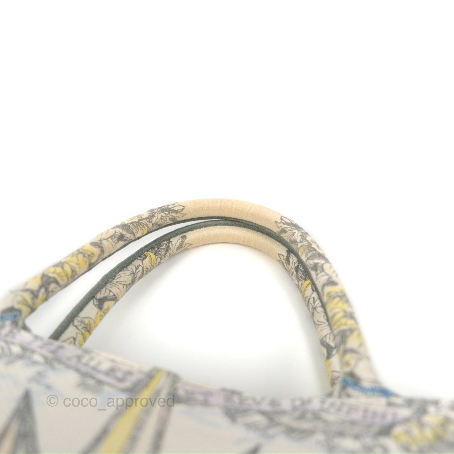 Christian Dior Medium(Old Small) Book Tote White Multicolor Rêve d'Infini Embroidery