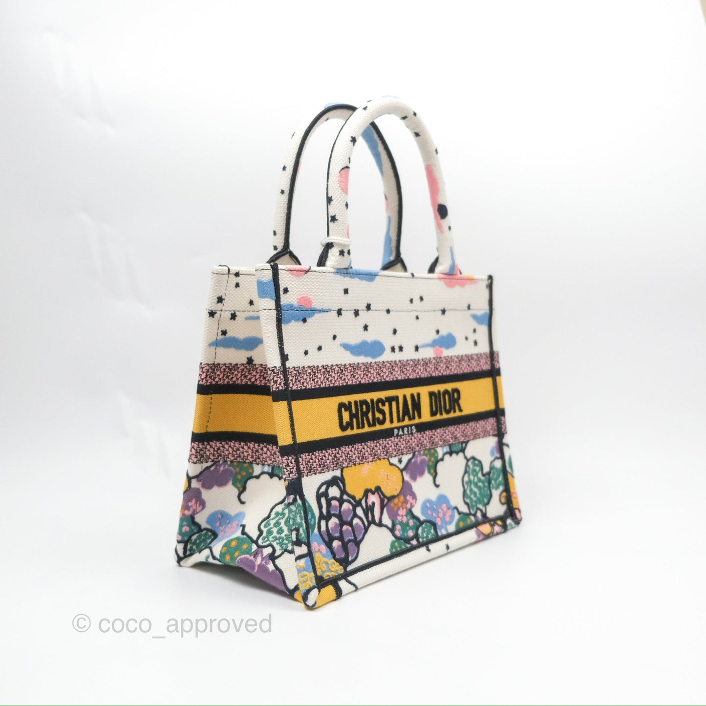 Christian Dior Small Book Tote Dior Latte Ciel de Rêve Embroidery