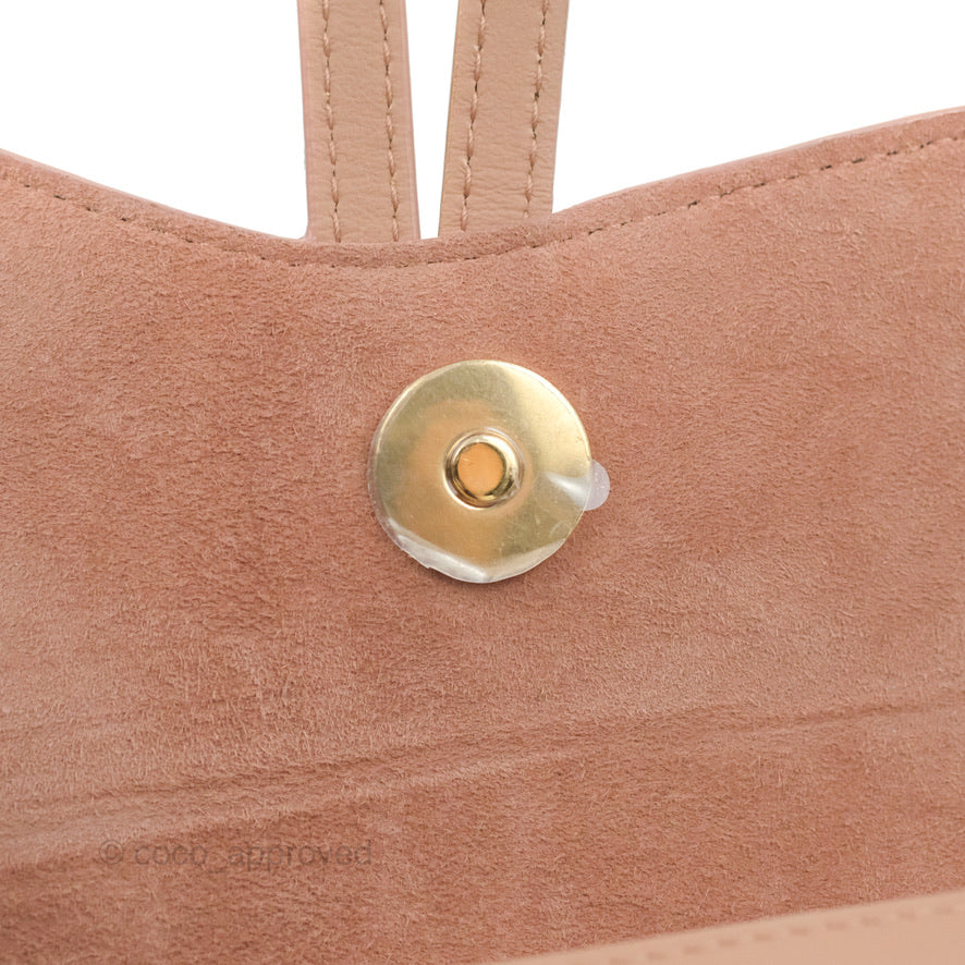 Christian Dior Saddle Belt Pouch Dusty Pink Matte Calfskin Gold Hardware