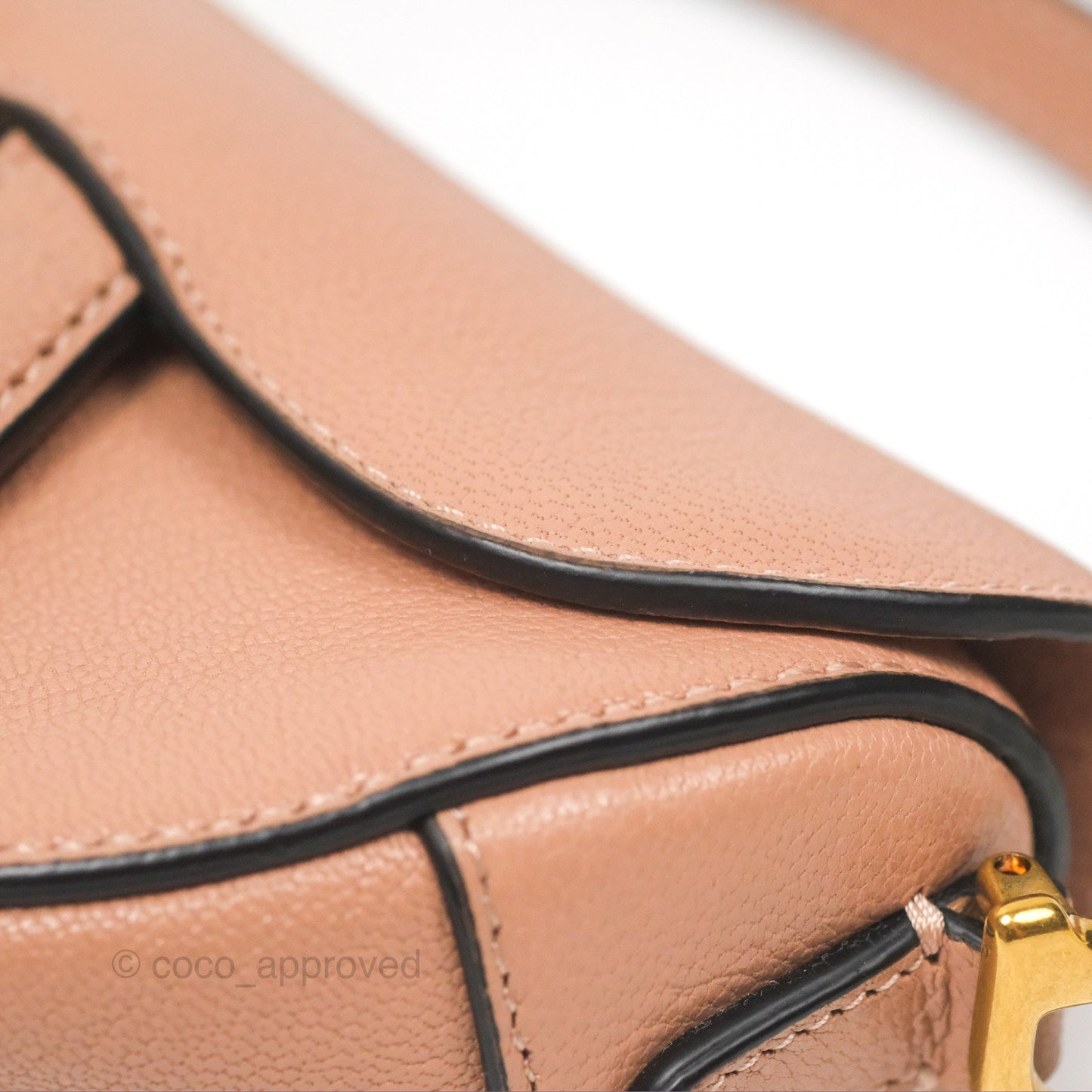 Christian Dior Micro Saddle Bag Rose des Vents Goatskin Gold Hardware