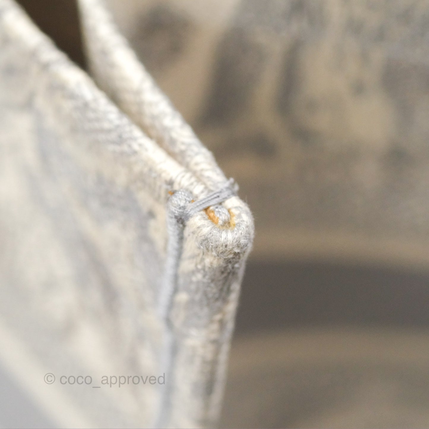 Christian Dior Medium (Old Small) Embroidered Toile De Jouy Light Grey Canvas Book Tote