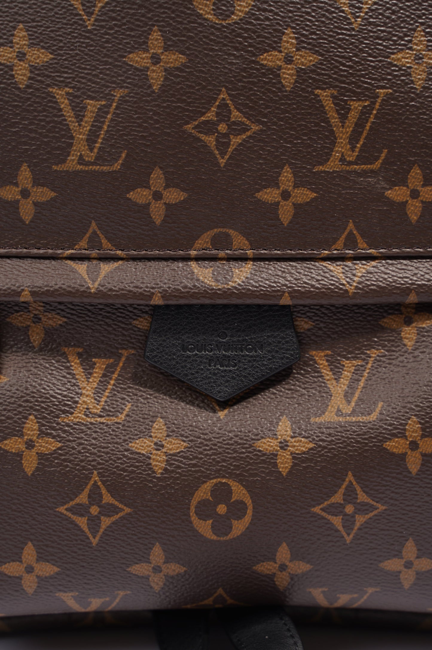 Louis Vuitton Womens Palm Springs Monogram MM
