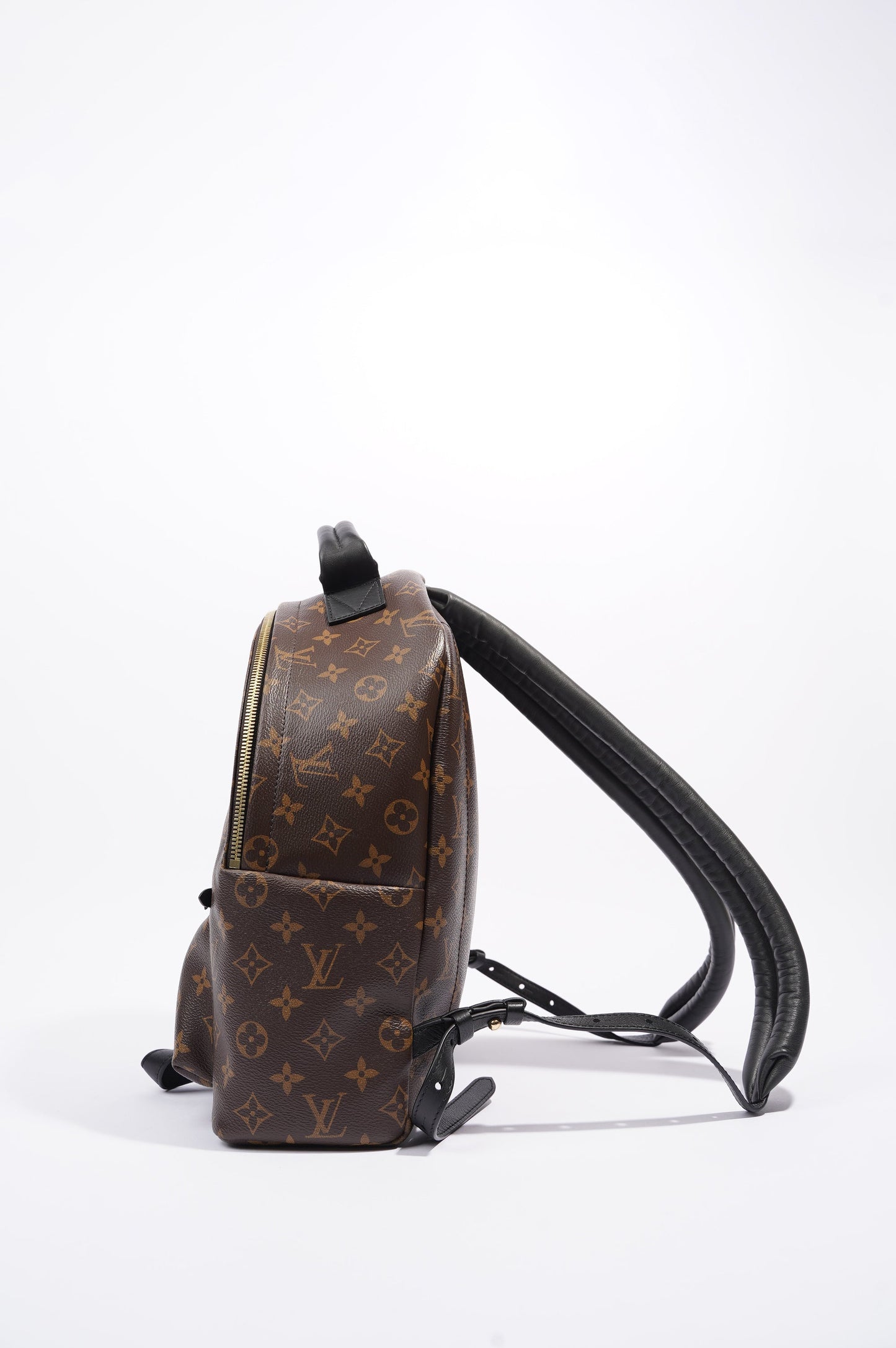 Louis Vuitton Womens Palm Springs Monogram MM