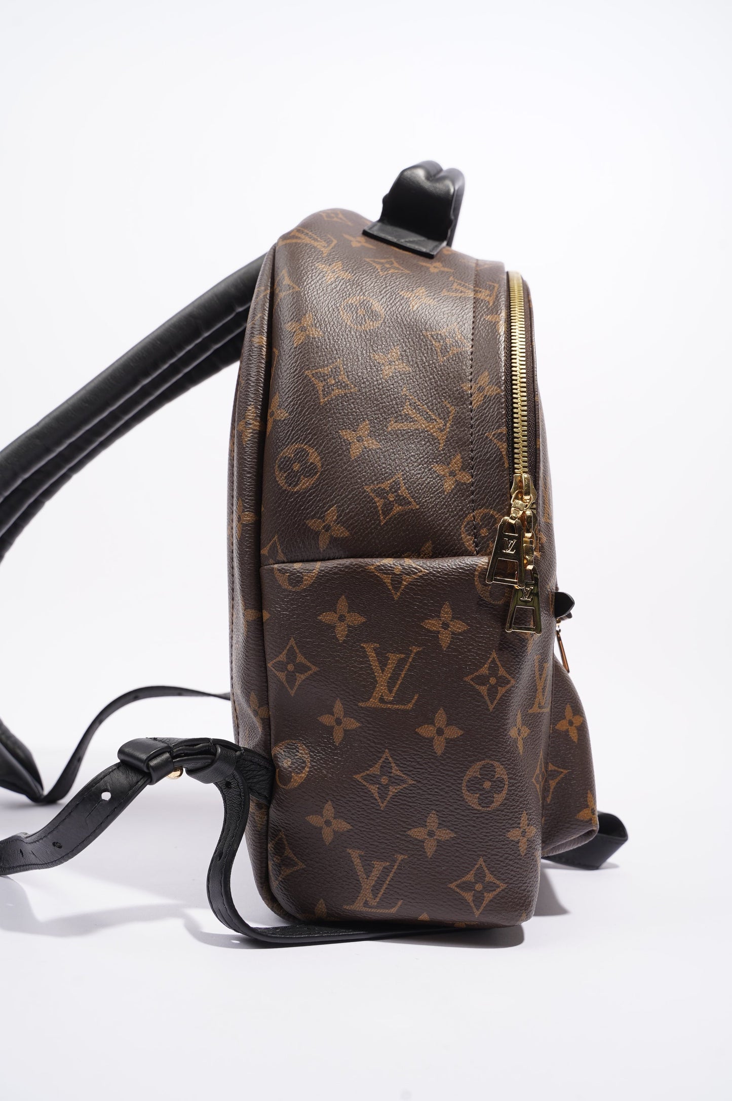 Louis Vuitton Womens Palm Springs Monogram MM
