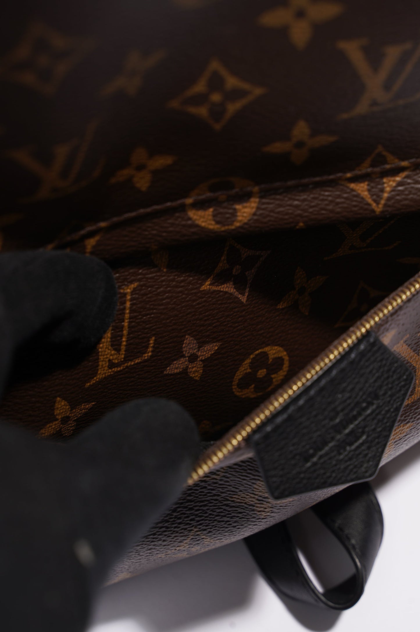 Louis Vuitton Womens Palm Springs Monogram MM