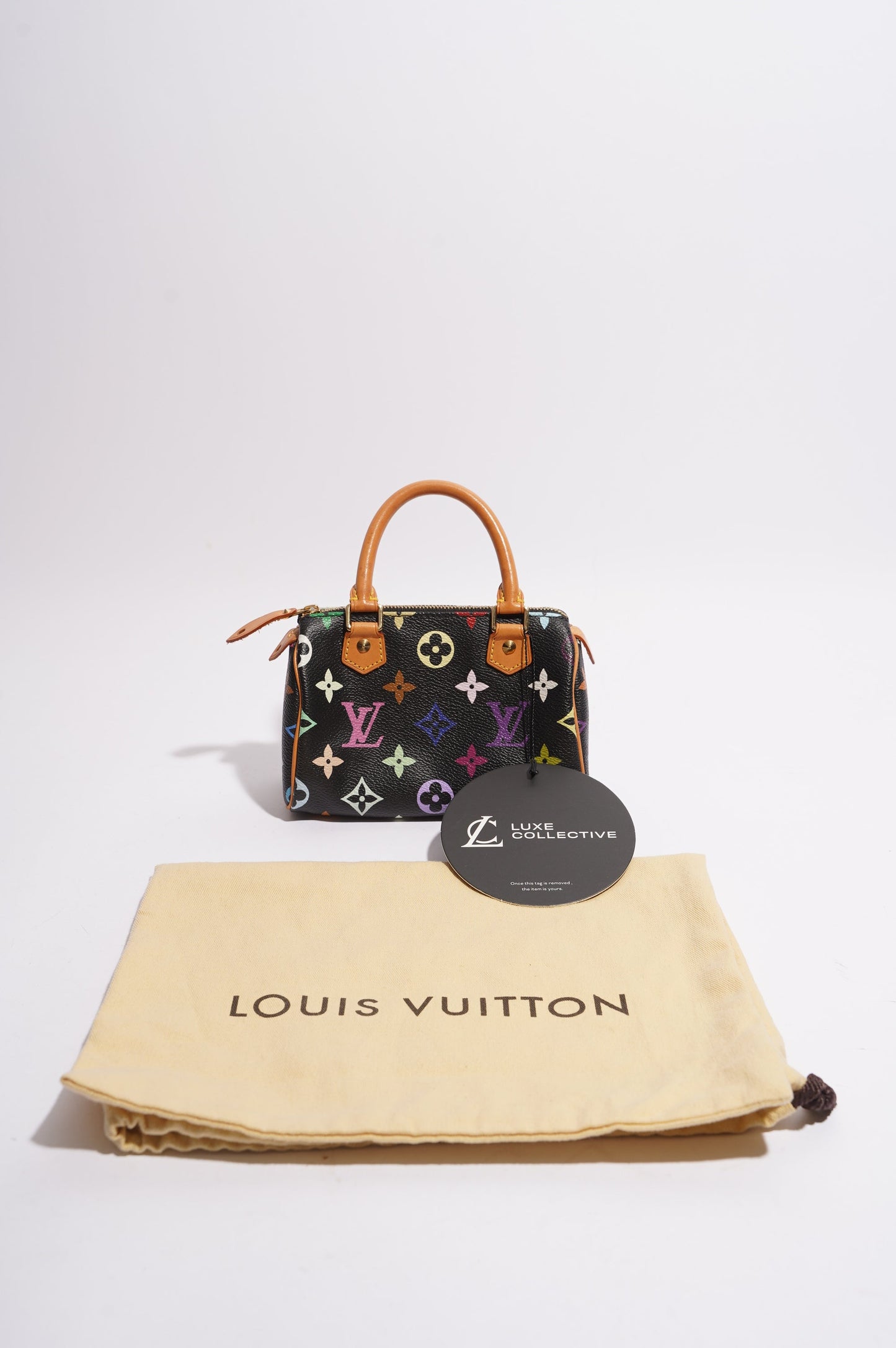Louis Vuitton Womens Speedy Handbag Murakami Monogram Canvas Nano