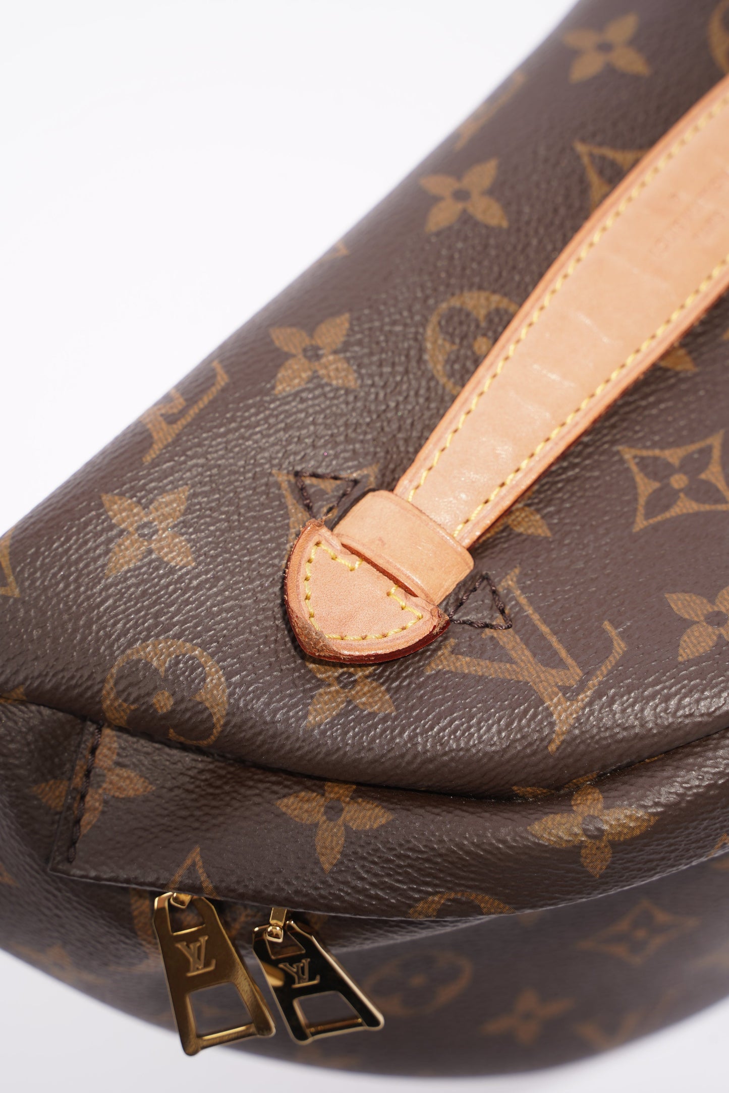 Louis Vuitton Womens Bum Bag Monogram