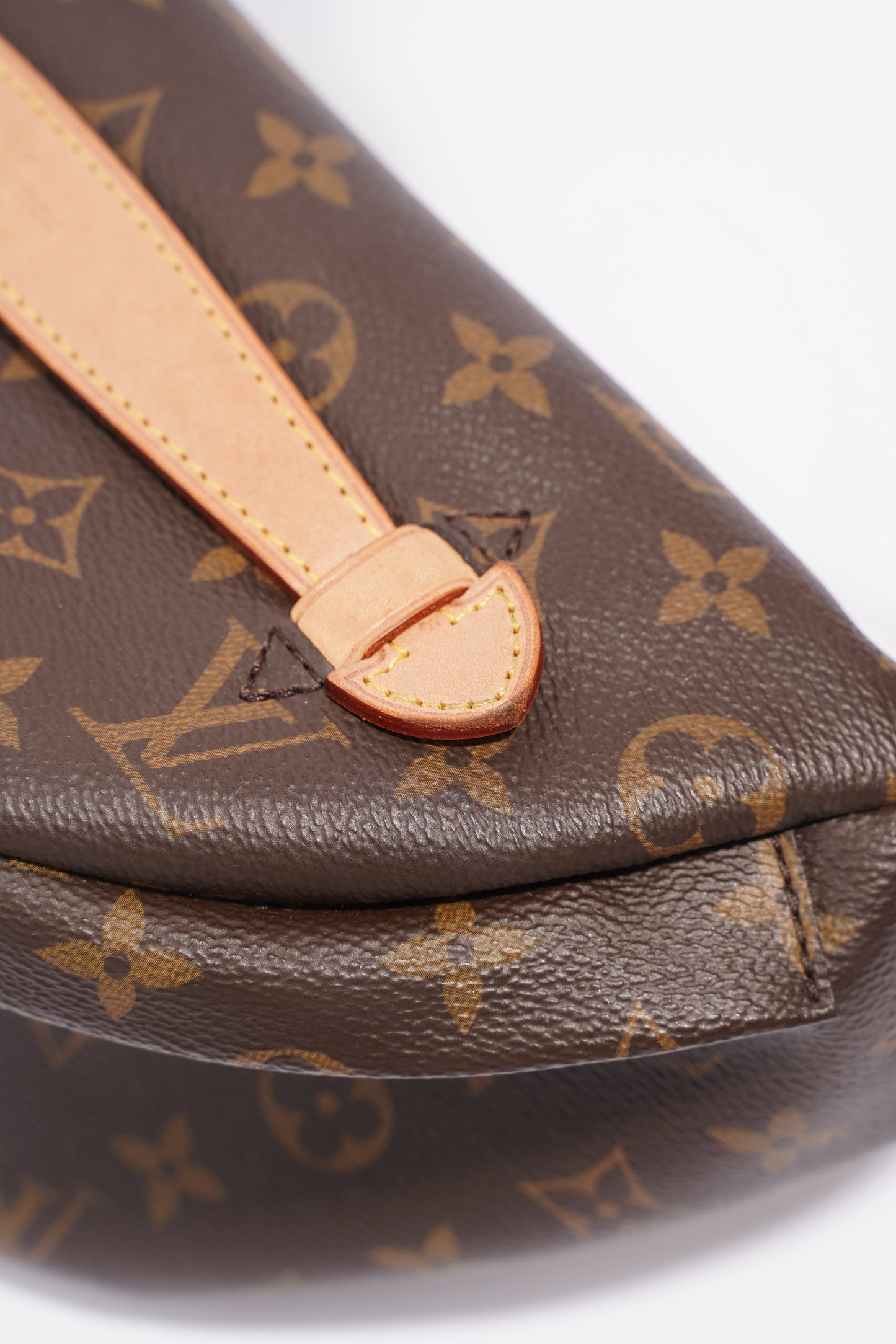 Louis Vuitton Womens Bum Bag Monogram