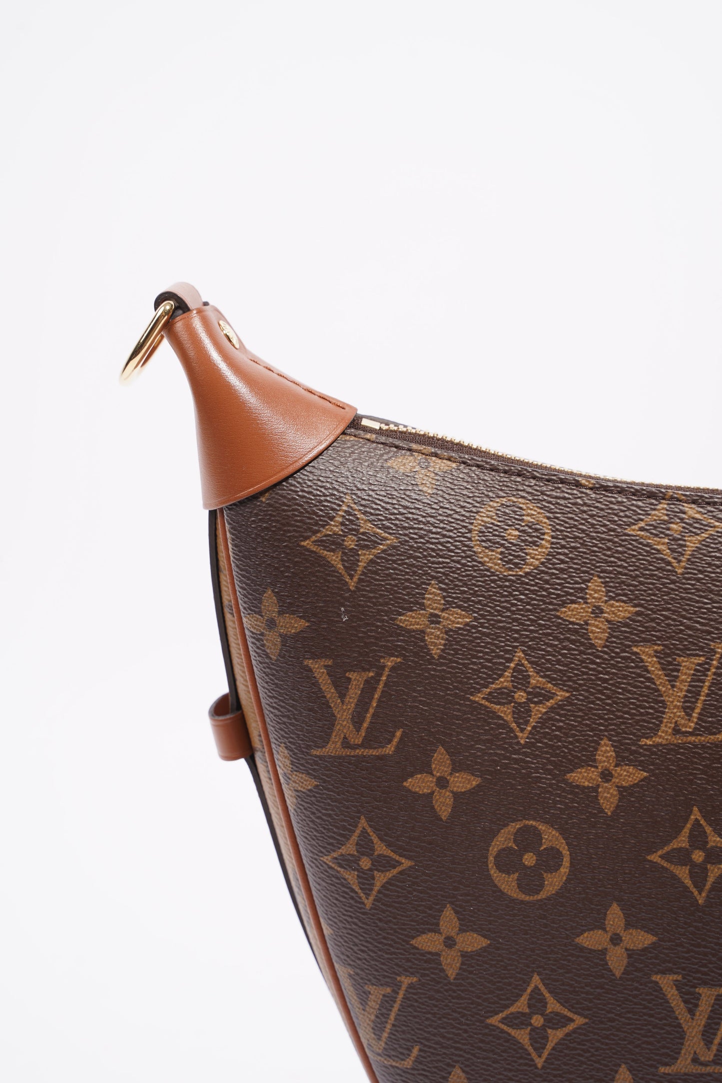 Louis Vuitton Womens Loop Hobo Bag Monogram