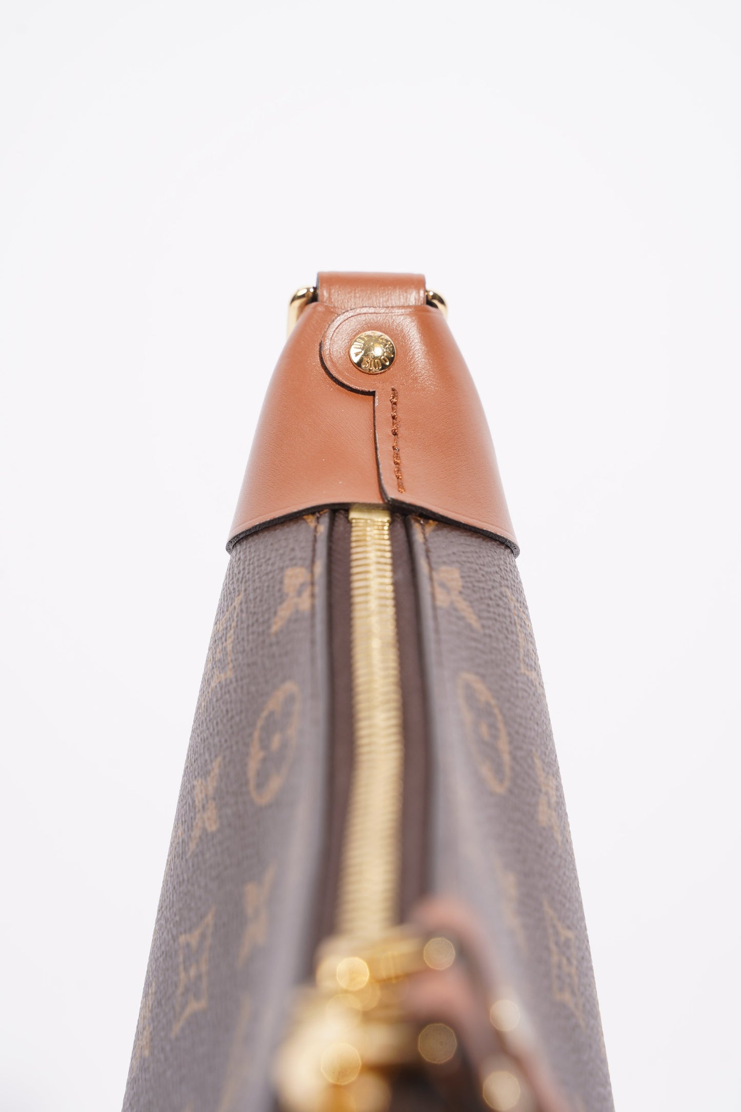 Louis Vuitton Womens Loop Hobo Bag Monogram