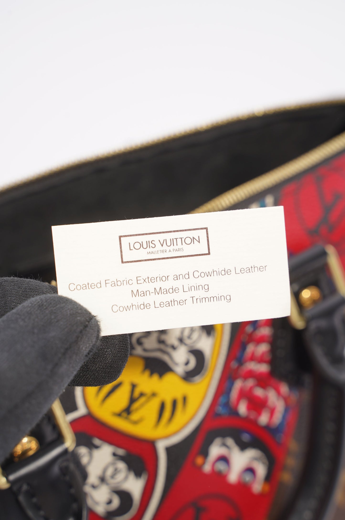 Louis Vuitton Womens Speedy Kabuki Monogram / Multi 30
