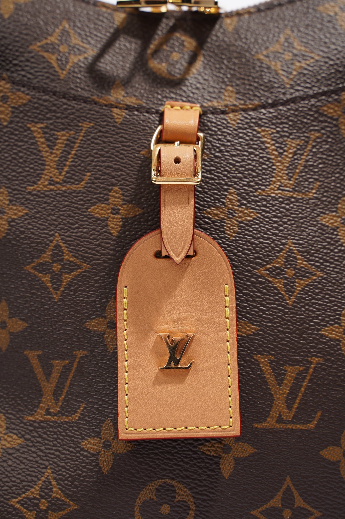 Louis Vuitton Womens Odeon Bag Monogram Canvas MM