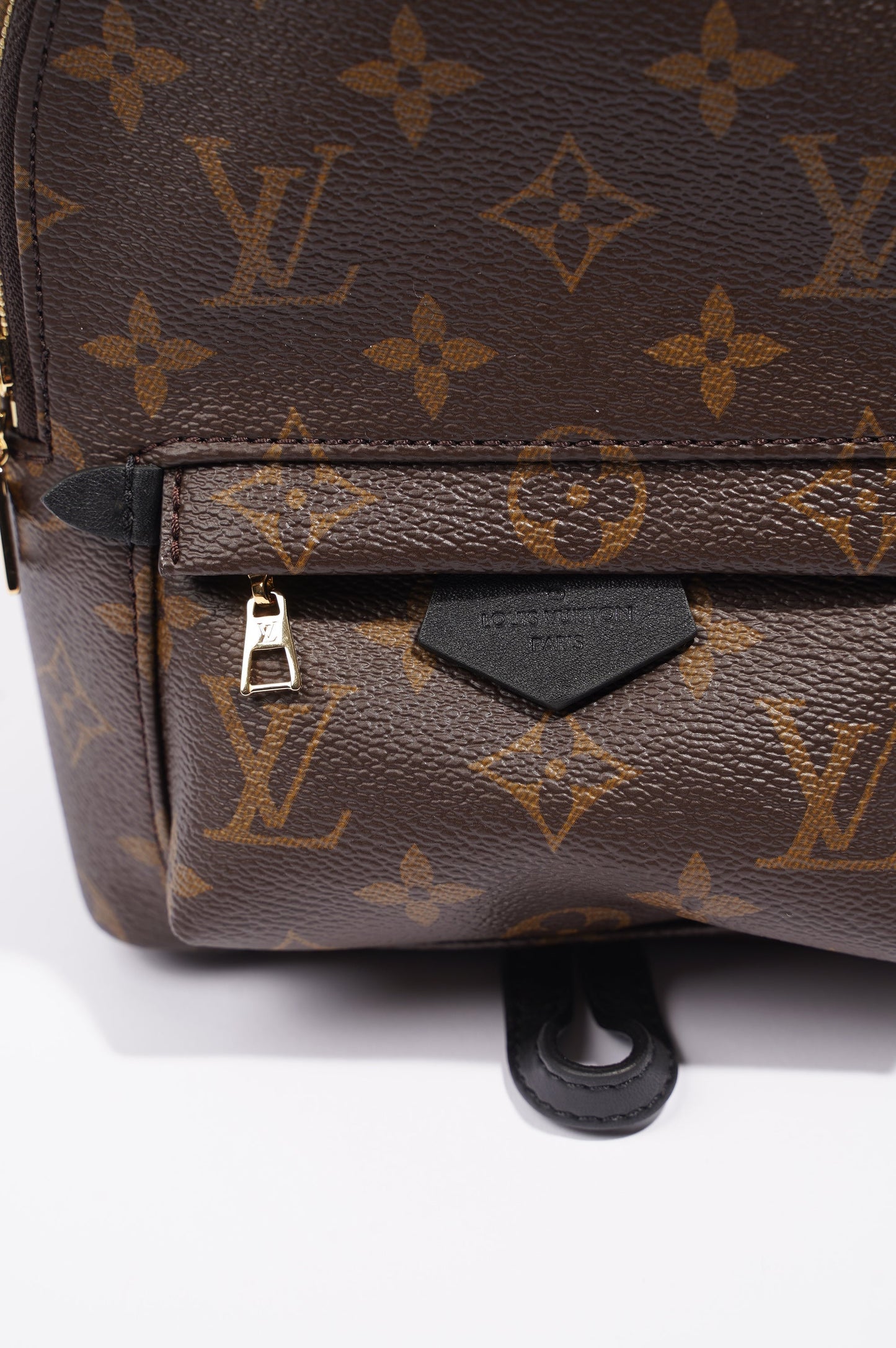 Louis Vuitton Womens Palm Springs Monogram Mini
