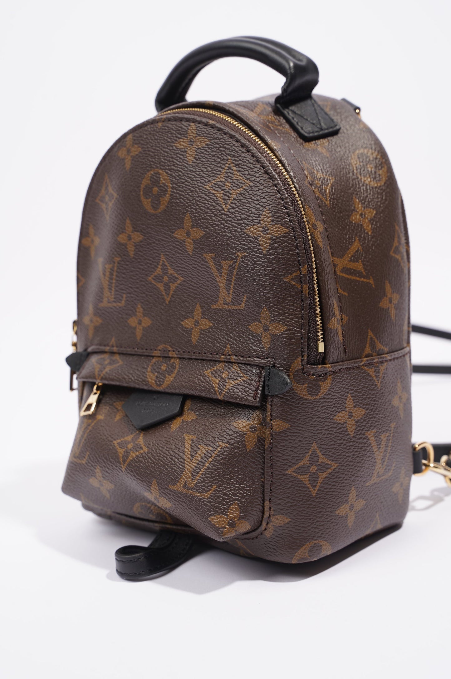 Louis Vuitton Womens Palm Springs Monogram Mini