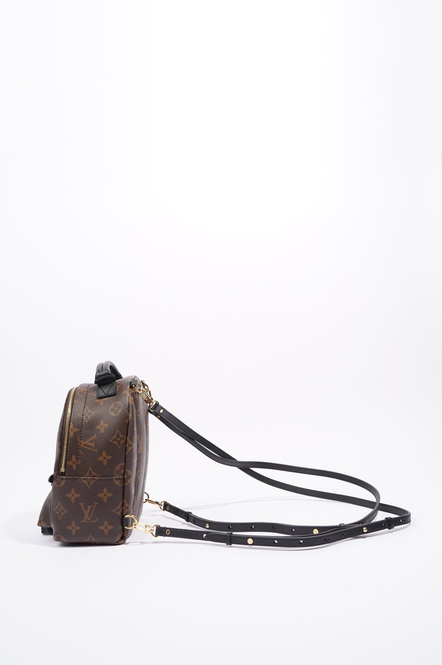 Louis Vuitton Womens Palm Springs Monogram Mini