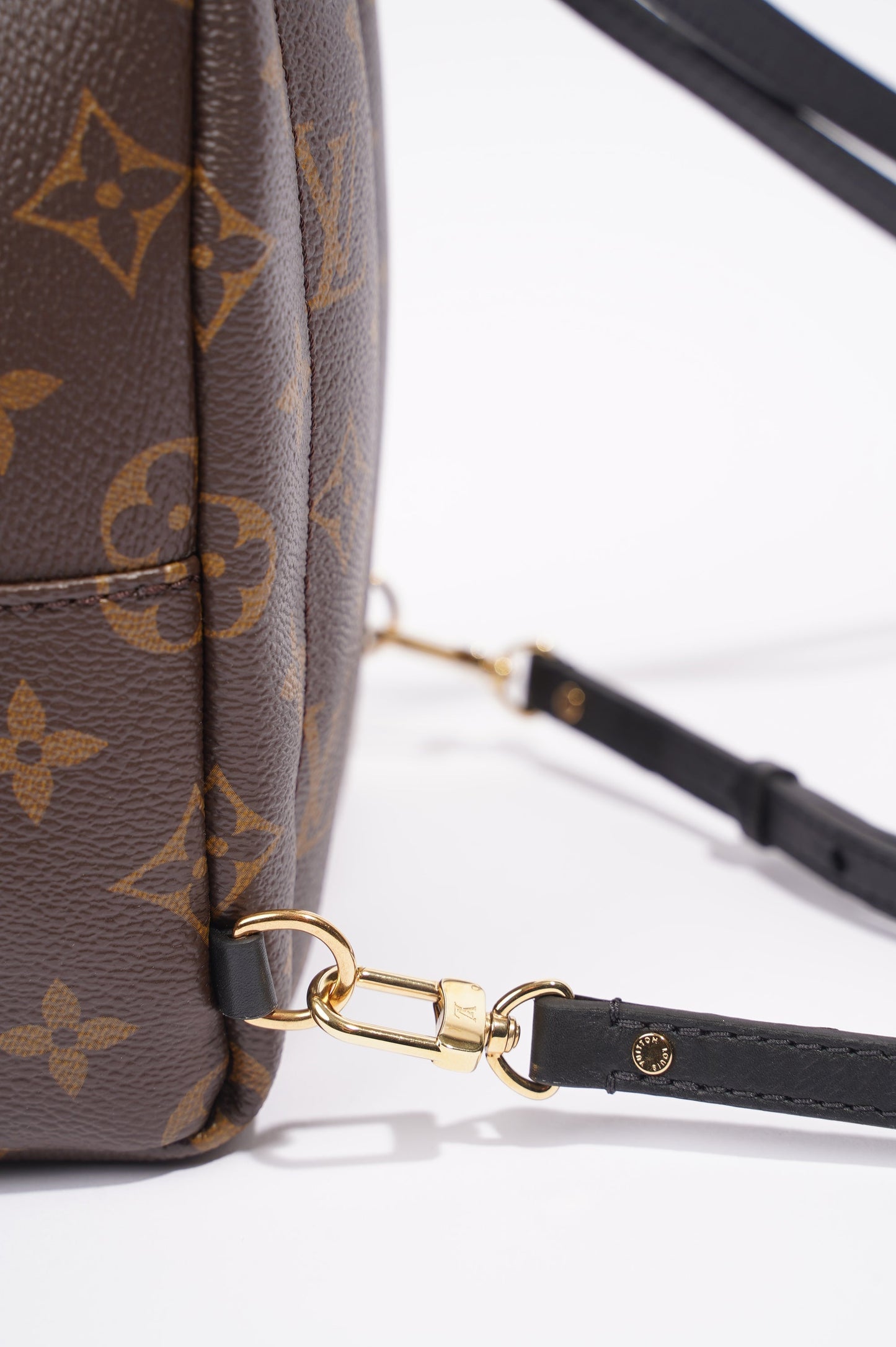 Louis Vuitton Womens Palm Springs Monogram Mini