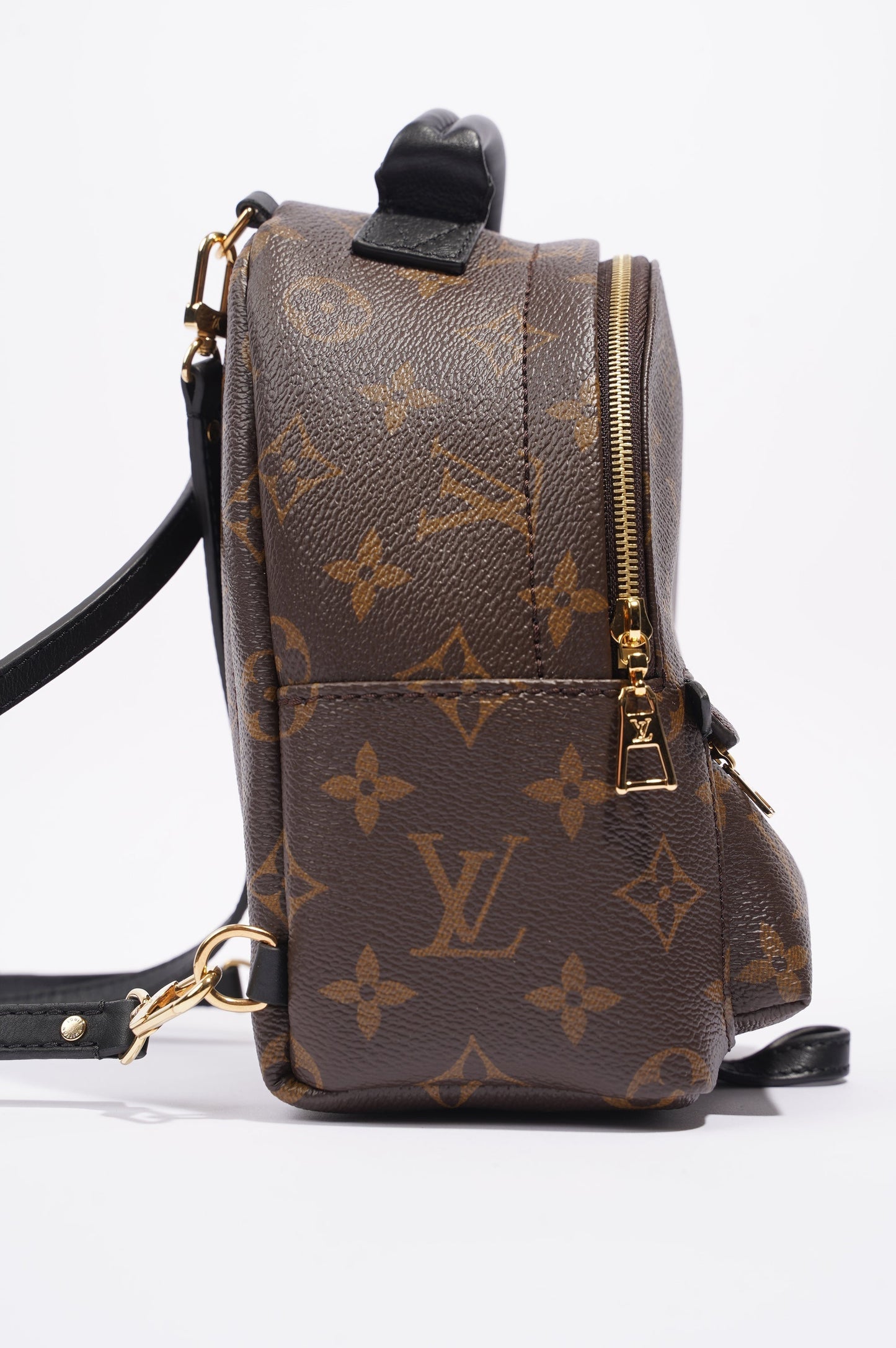 Louis Vuitton Womens Palm Springs Monogram Mini