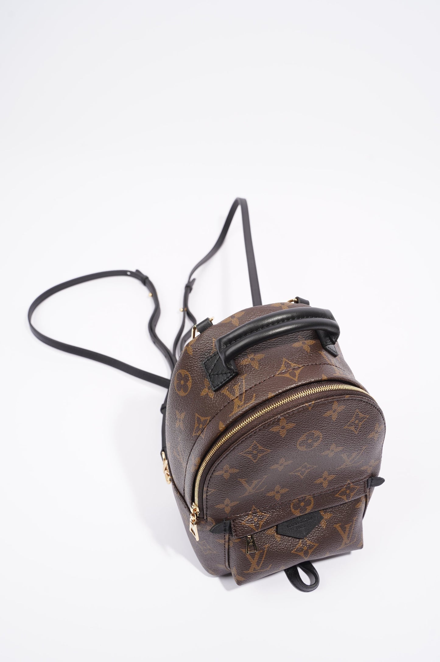 Louis Vuitton Womens Palm Springs Monogram Mini