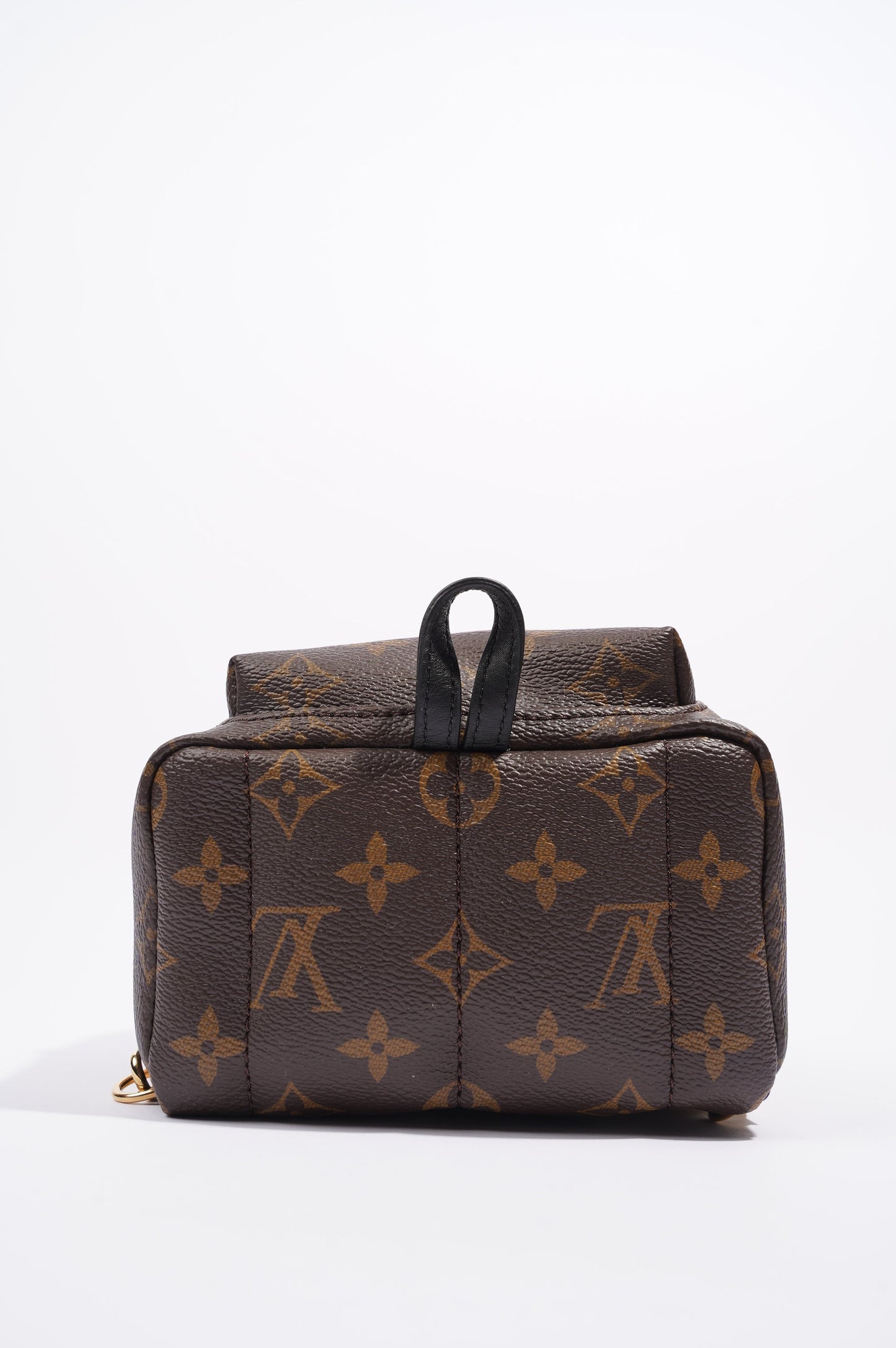 Louis Vuitton Womens Palm Springs Monogram Mini