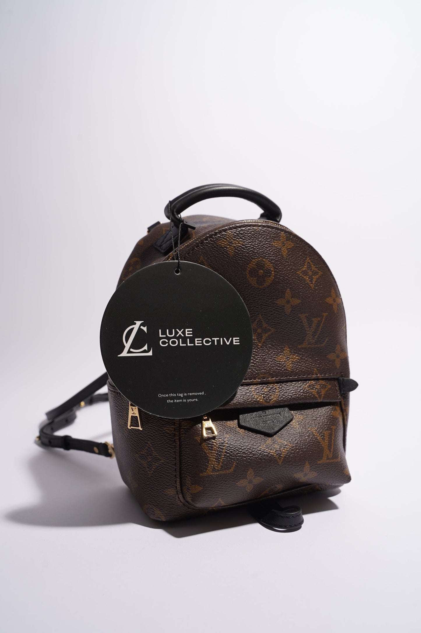 Louis Vuitton Womens Palm Springs Monogram Mini