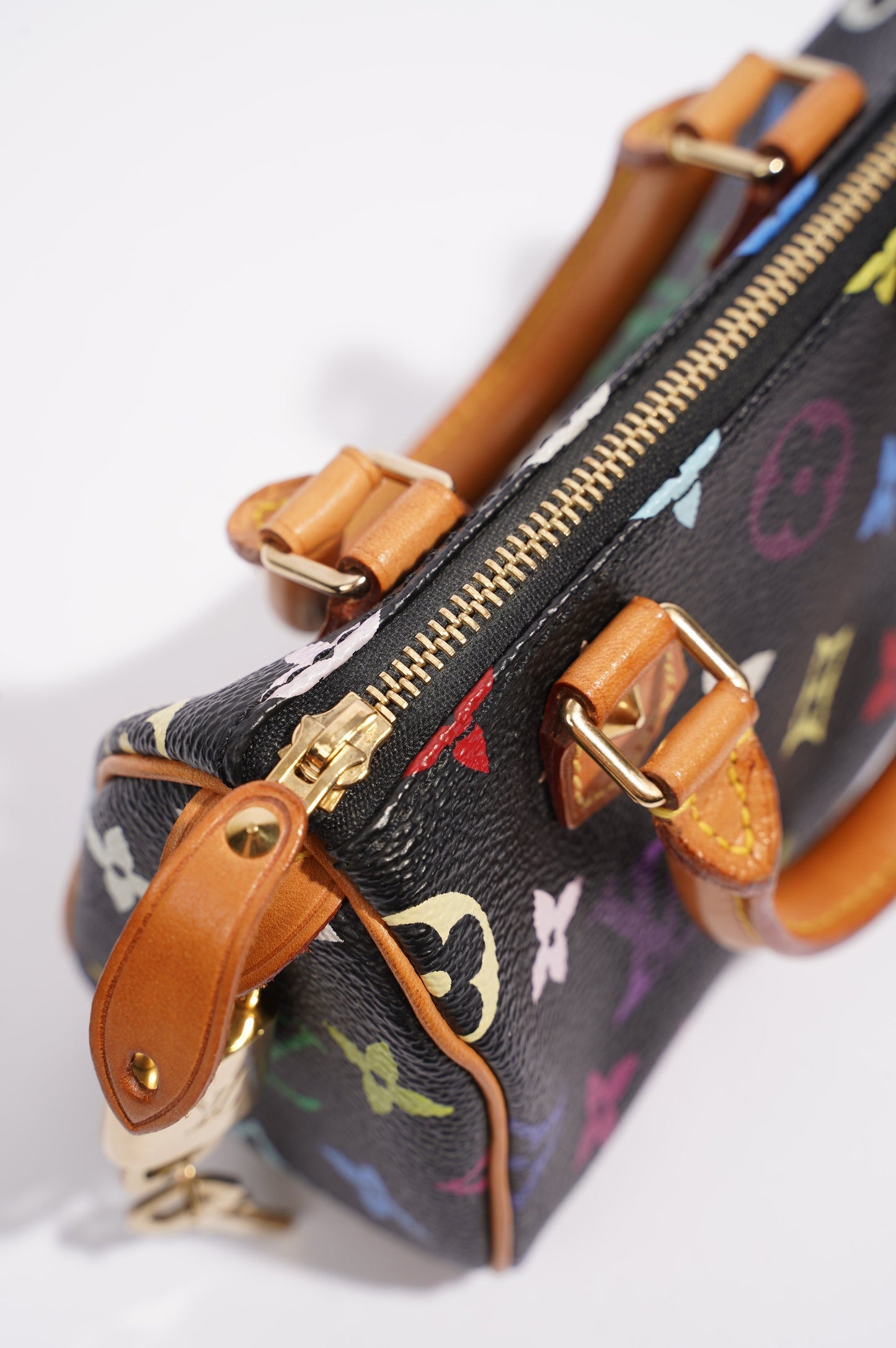 Louis Vuitton Womens Speedy Handbag Murakami Monogram Canvas Nano
