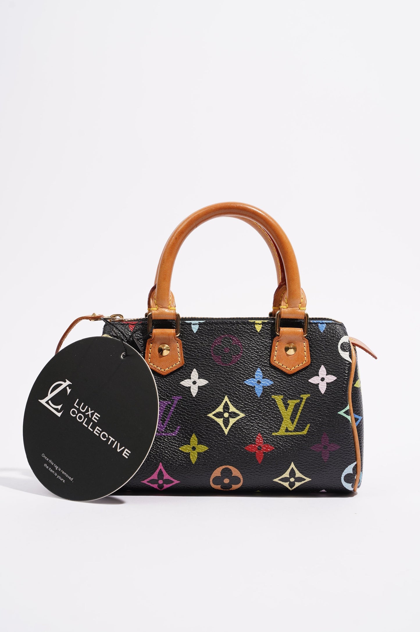 Louis Vuitton Womens Speedy Handbag Murakami Monogram Canvas Nano