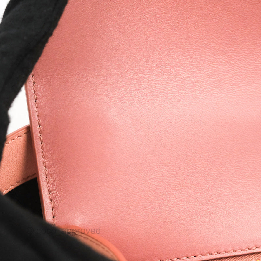 Dior 30 Montaigne Bag Smooth Calfskin Gradient Rose Multicolour