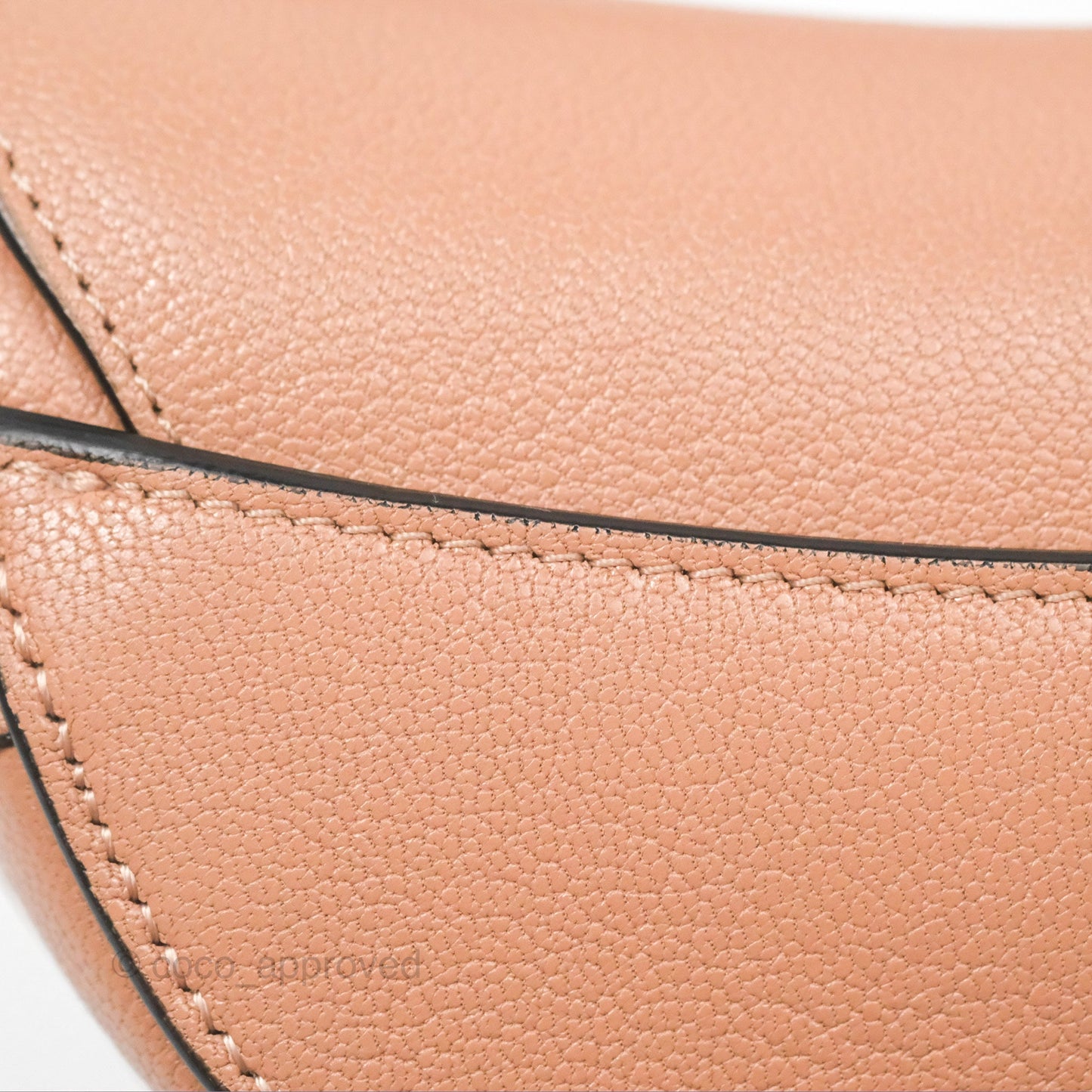 Christian Dior Micro Saddle Bag Rose des Vents Goatskin Gold Hardware